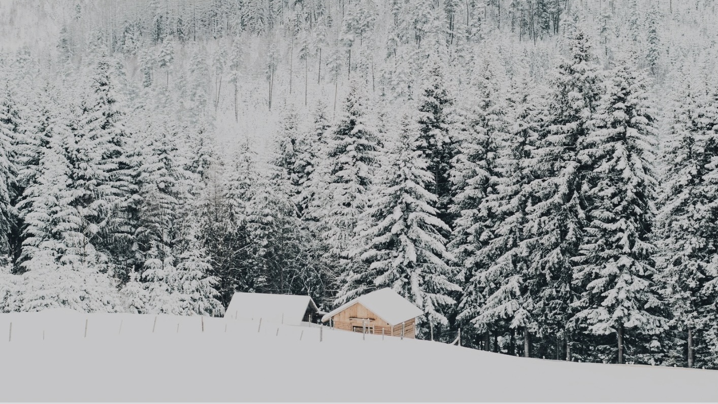 Сванетия -  снег по колено и башни до неба. Горнолыжный тур (5/40)