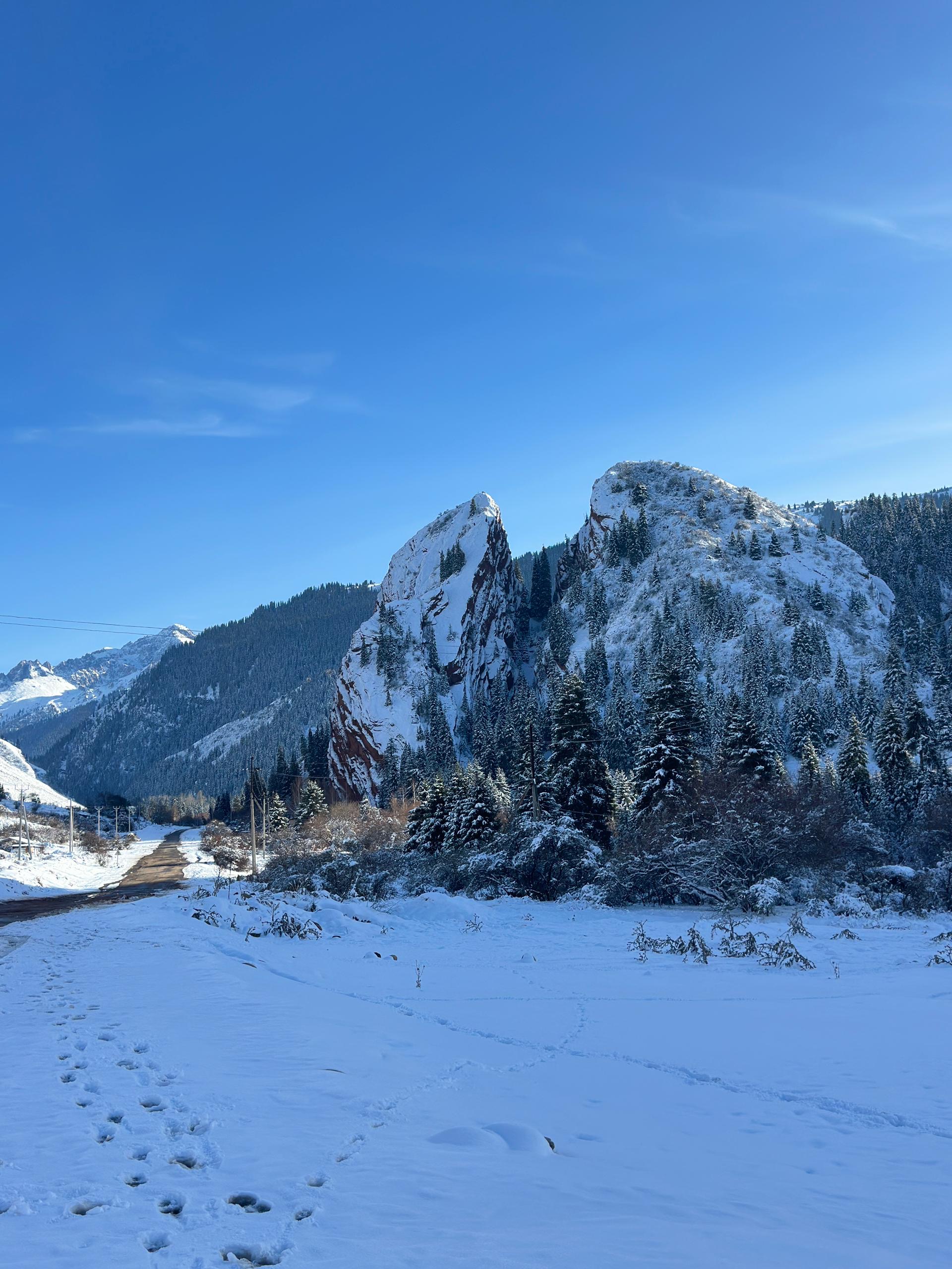 Зимняя перезагрузка на Иссык-Куле: 4 дня уюта и красоты