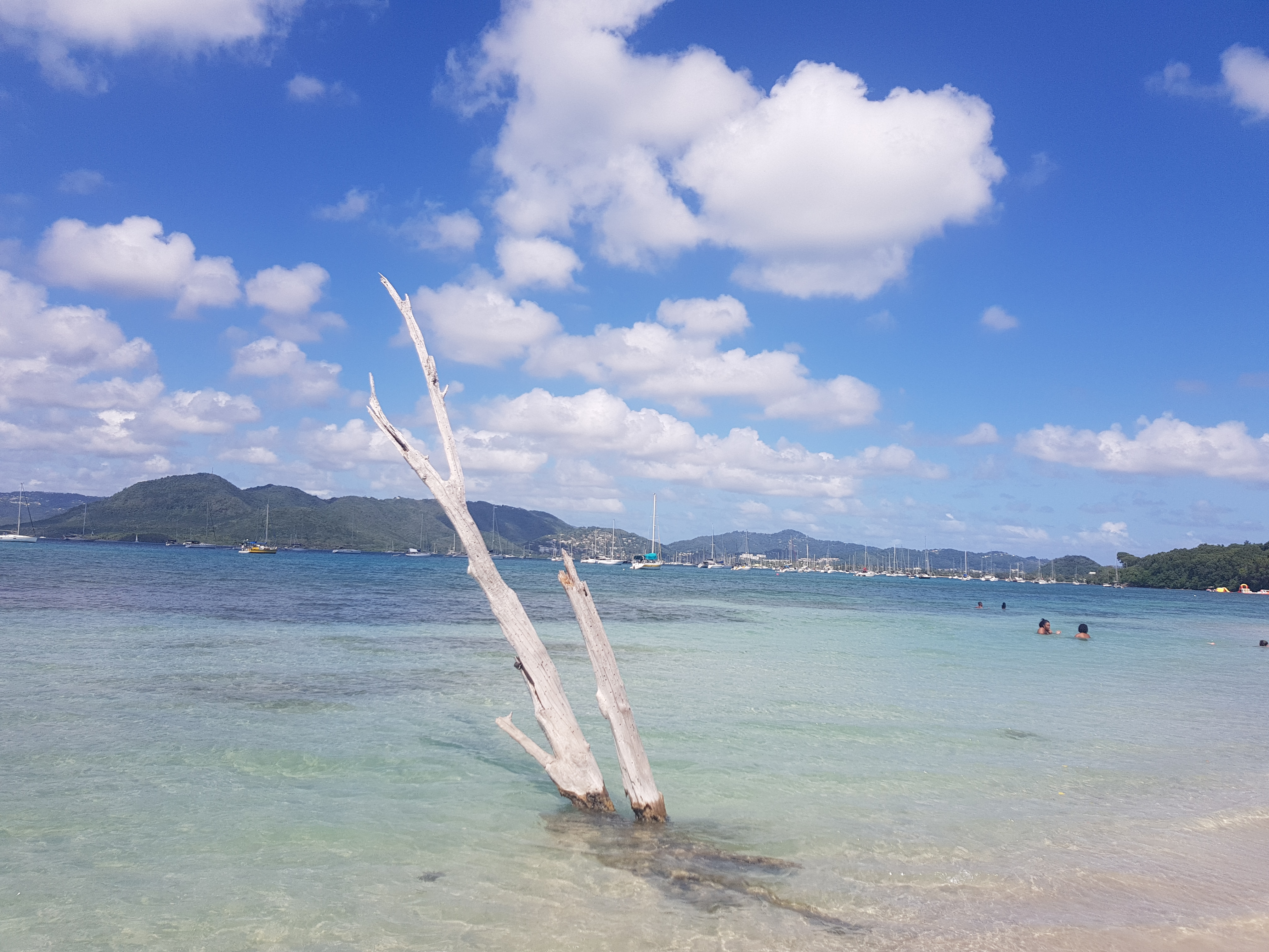 Карибы под парусами - Мартиника! (10/25)