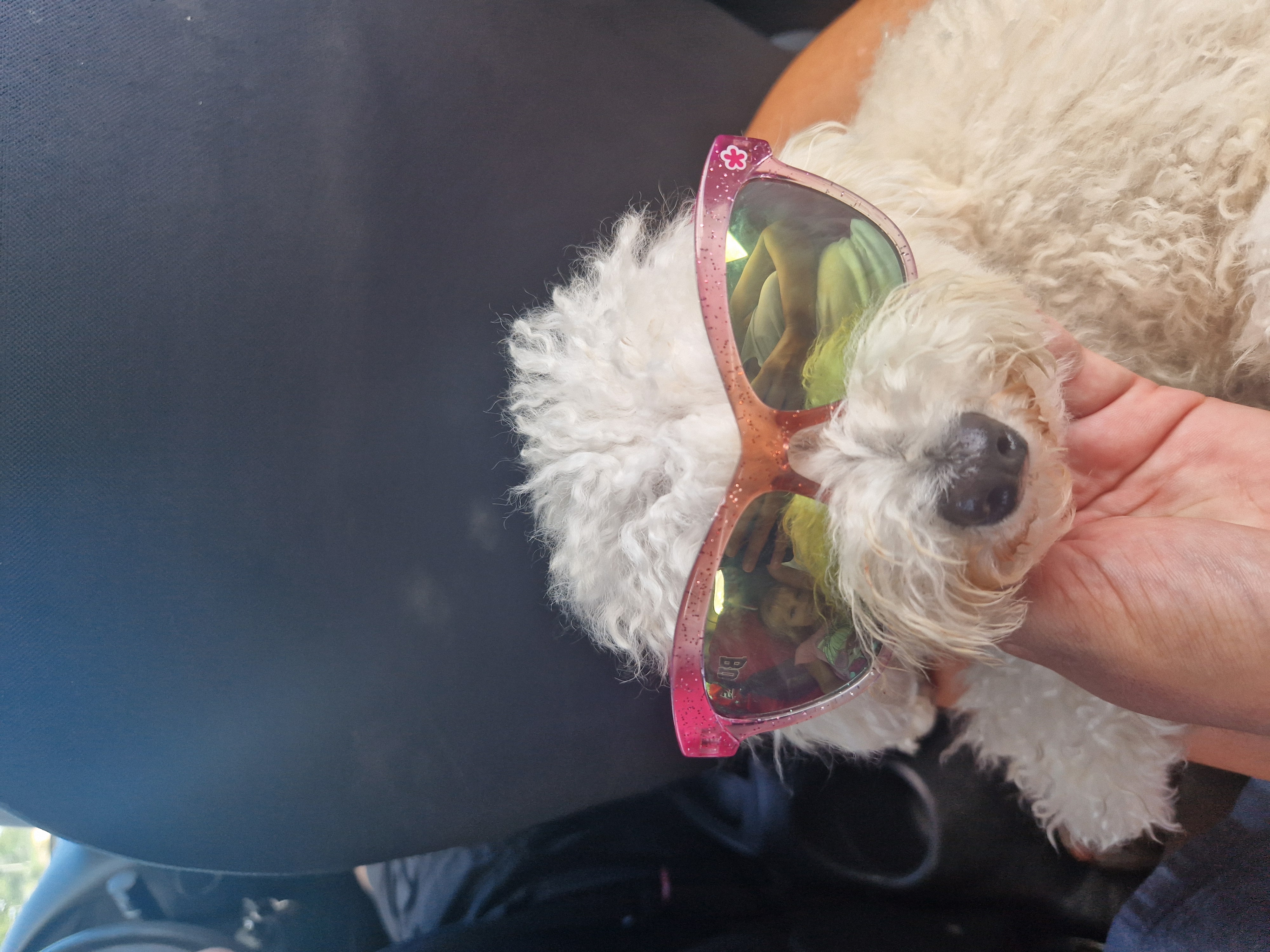 Карибы под парусами - Мартиника! (6/25)