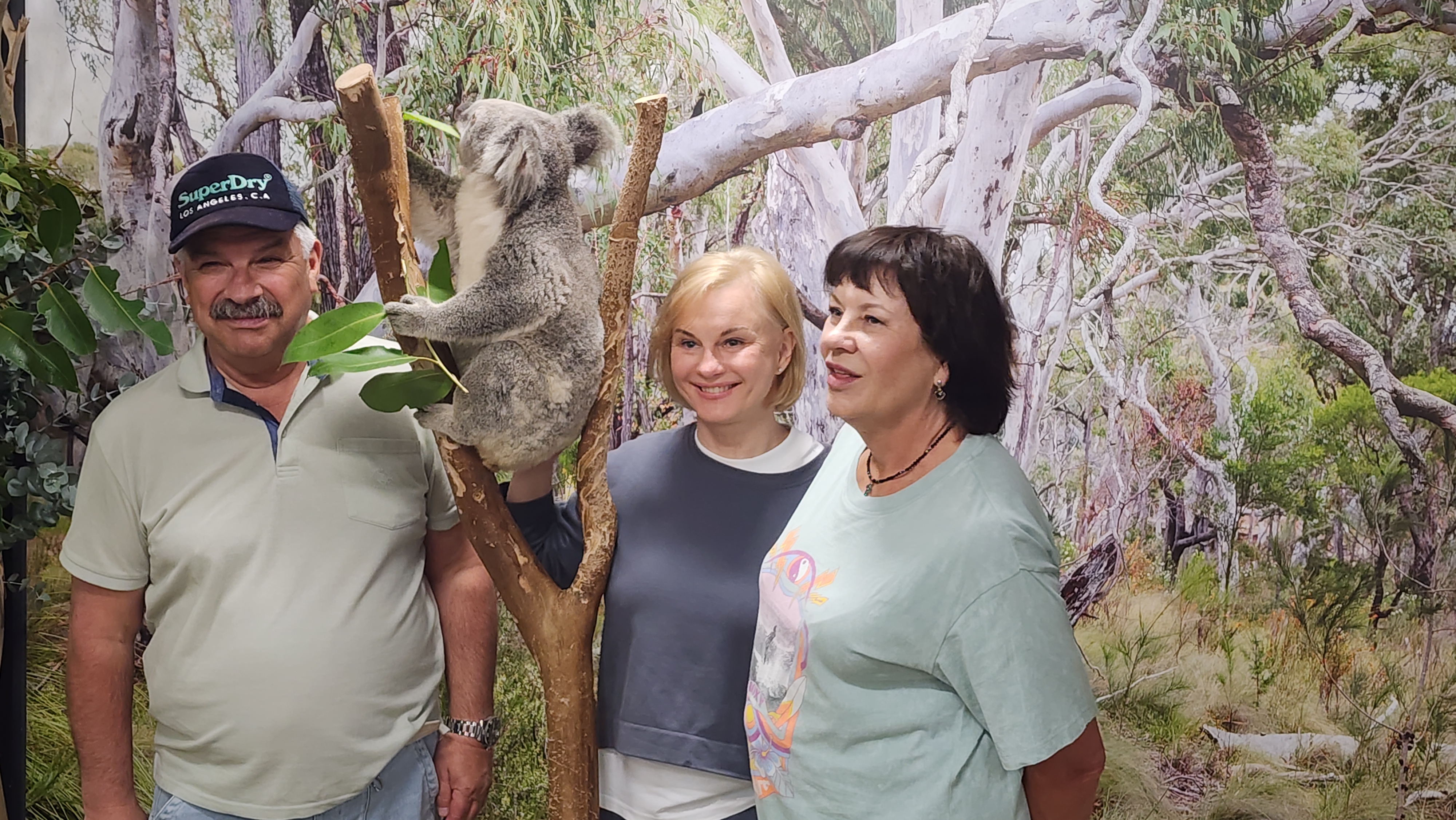 Люксовый частный тур в Голубые Горы из Сиднея (9/13)