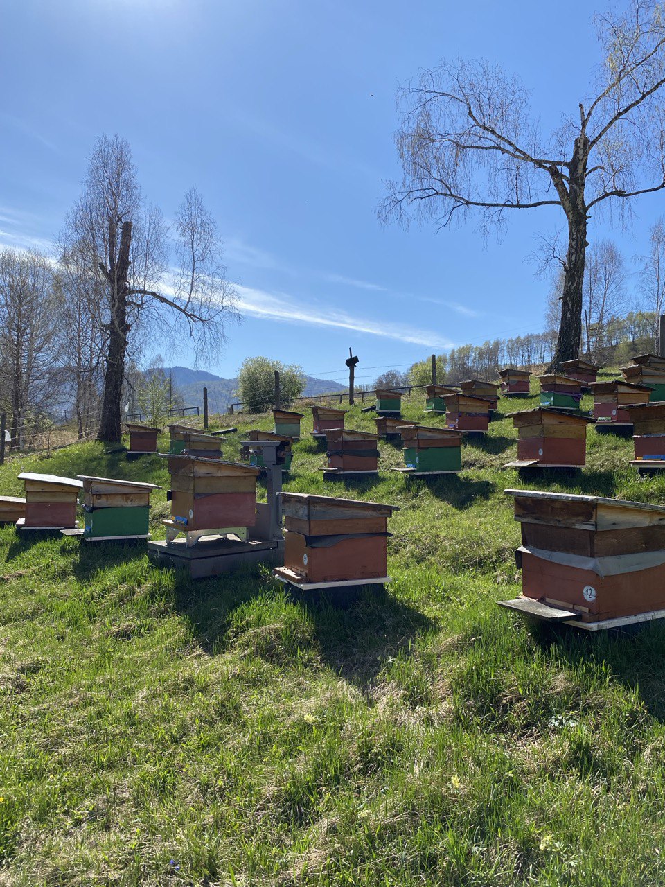 Йога-тур Алтай Знакомство с собой (7/36)