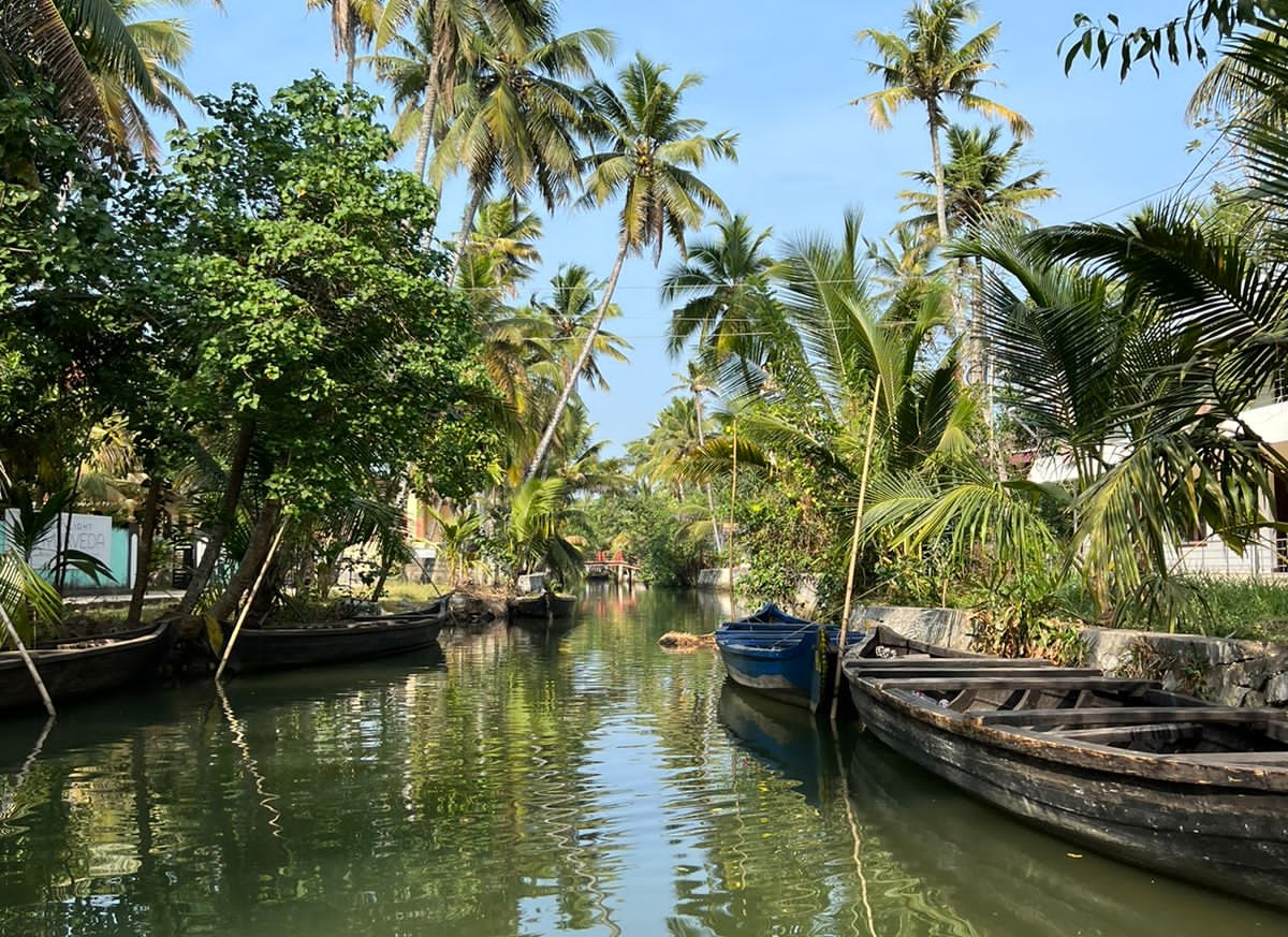 Аюрведа йога-тур в Индию на 12 дней (9/22)