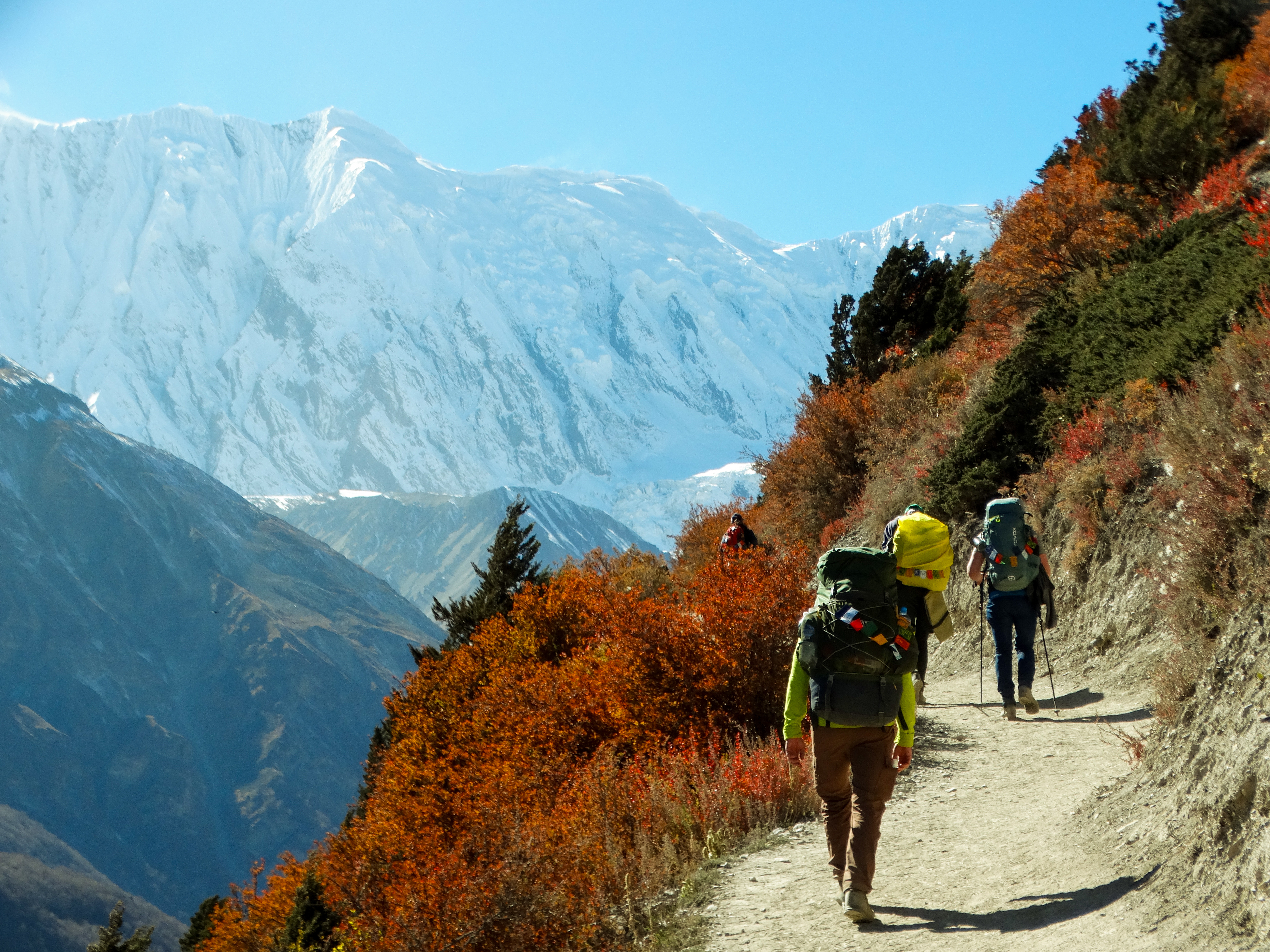 Непал. Трек вокруг Аннапурны с озером Тиличо