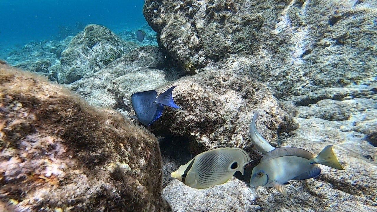 Карибы под парусами - Мартиника! (18/25)