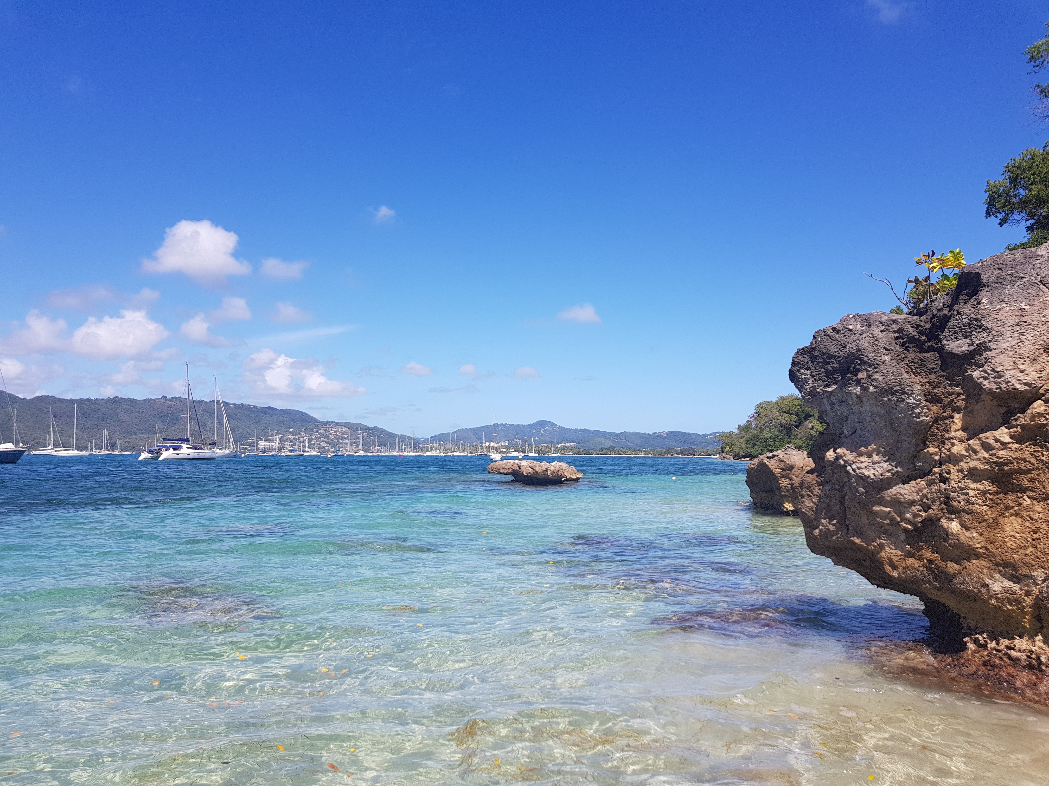 Карибы под парусами - Мартиника! (8/25)