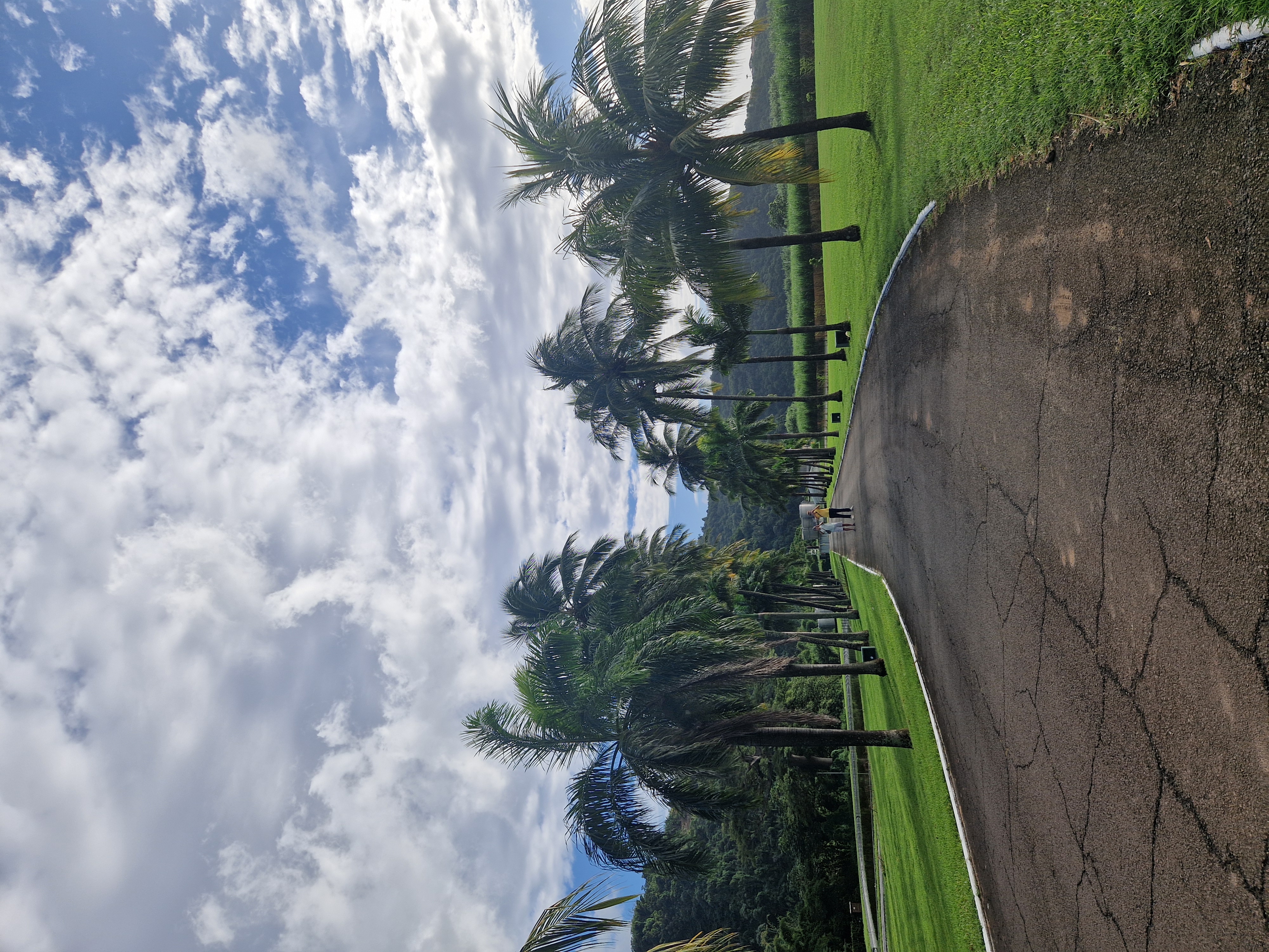 Карибы под парусами - Мартиника! (5/25)