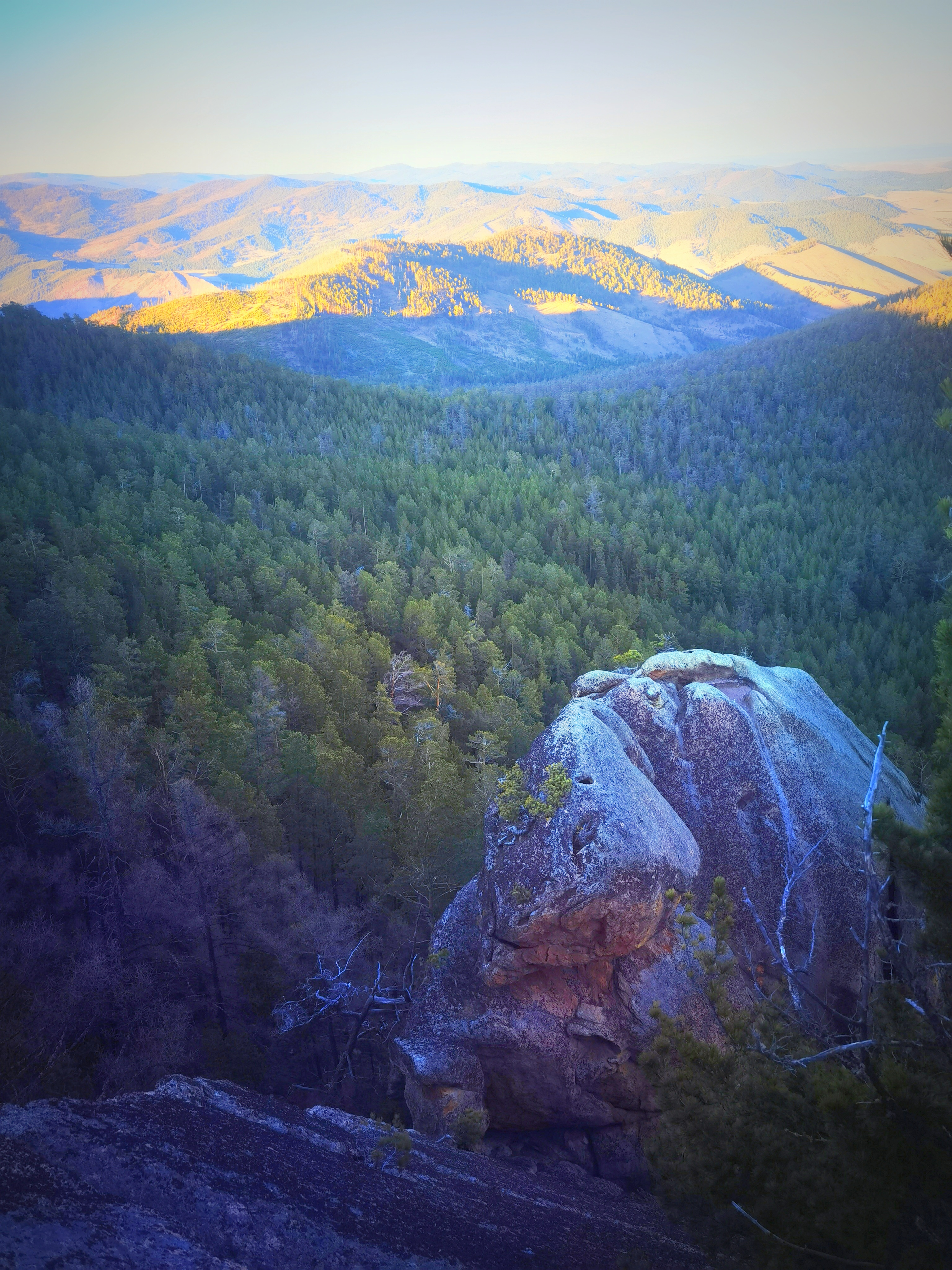 Путь к большому Будде и кора у самой большой ступы в России (12/29)