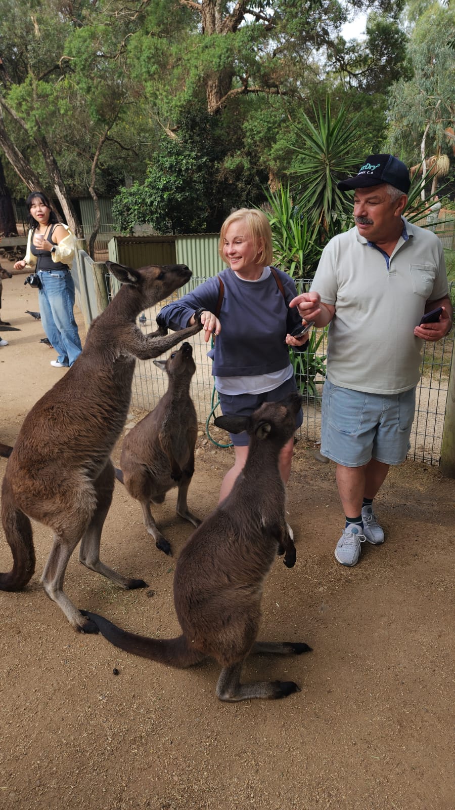 Люксовый частный тур в Голубые Горы из Сиднея (11/13)