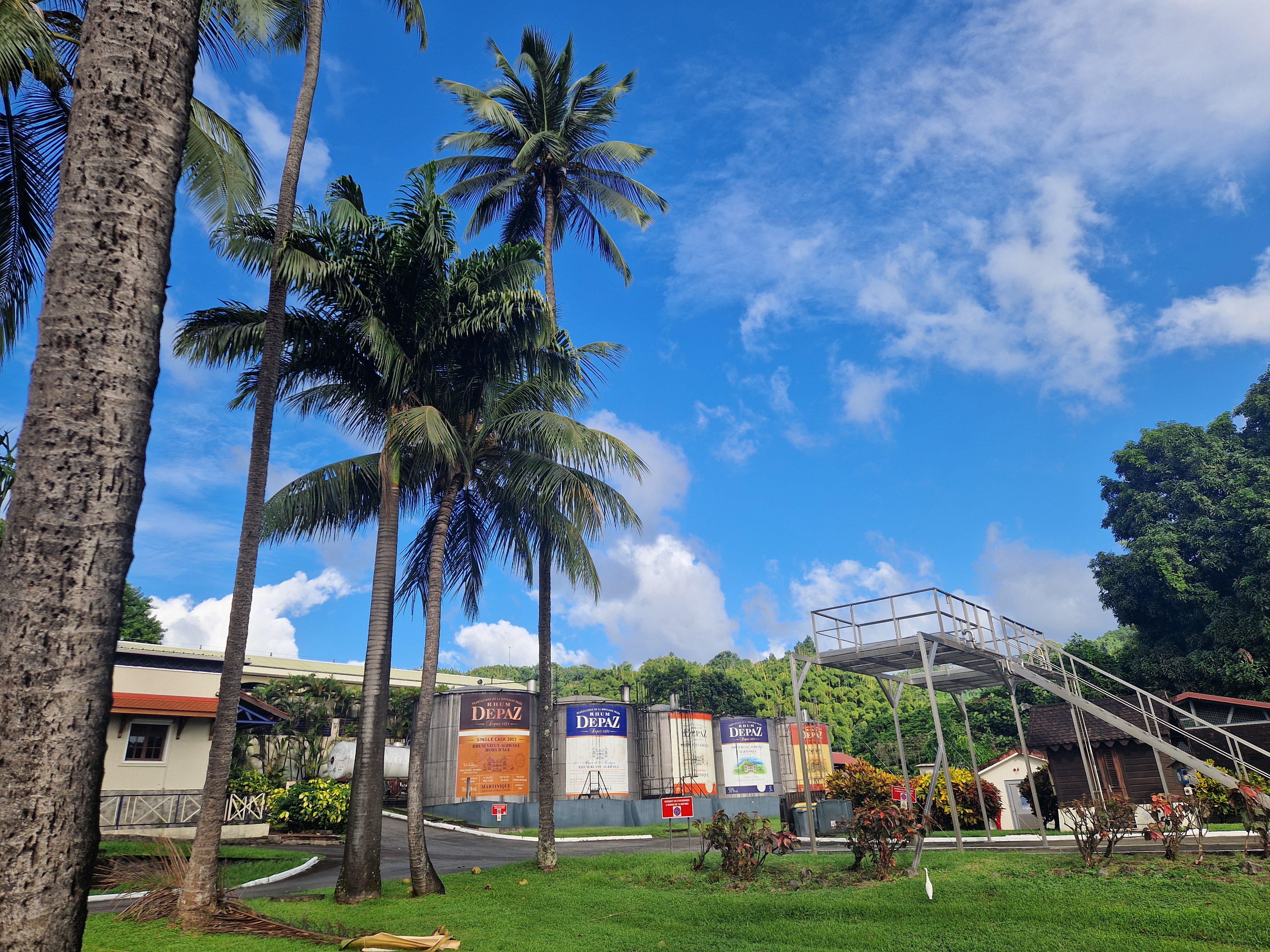 Карибы под парусами - Мартиника! (4/25)