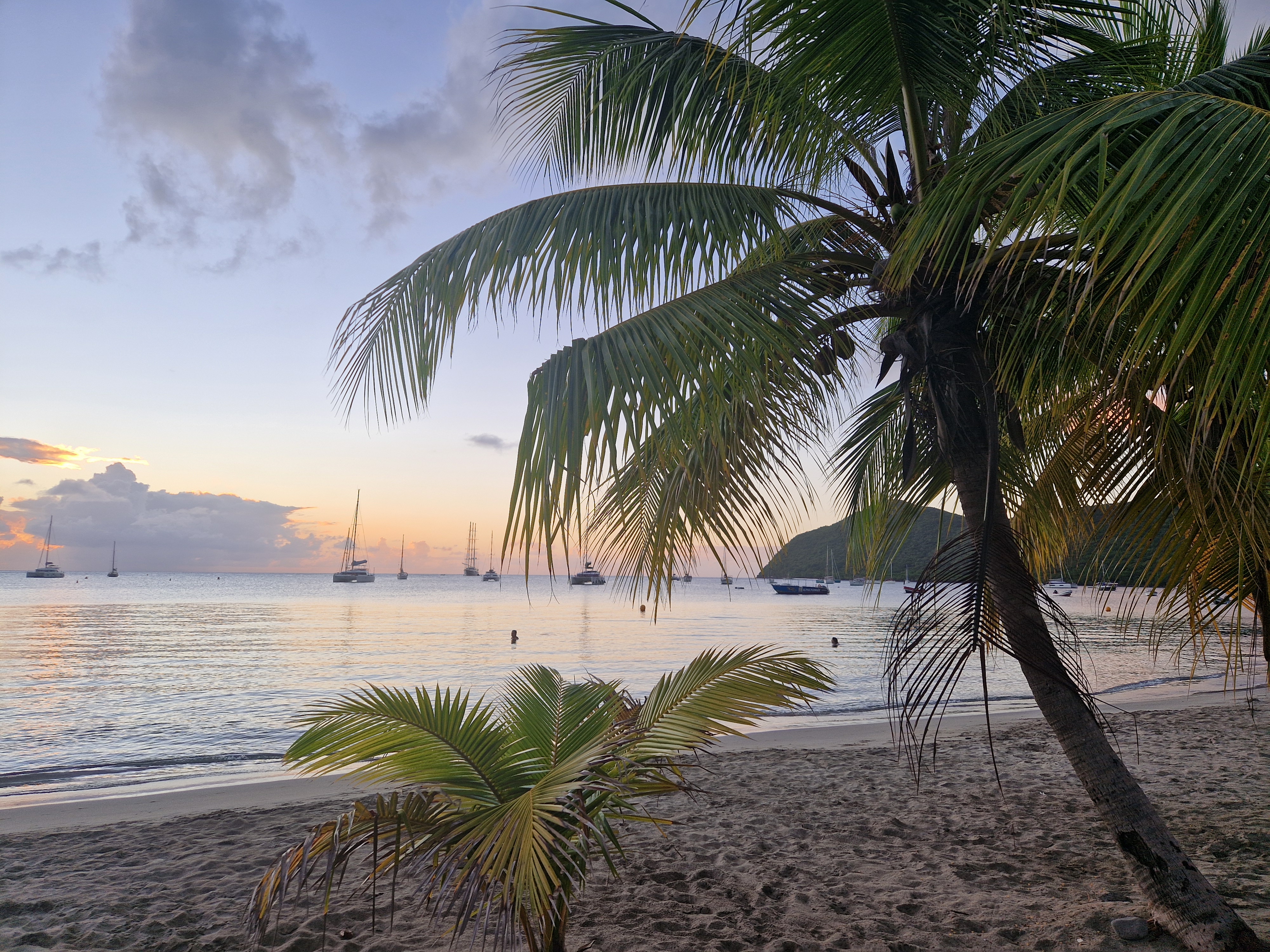 Карибы под парусами - Мартиника!