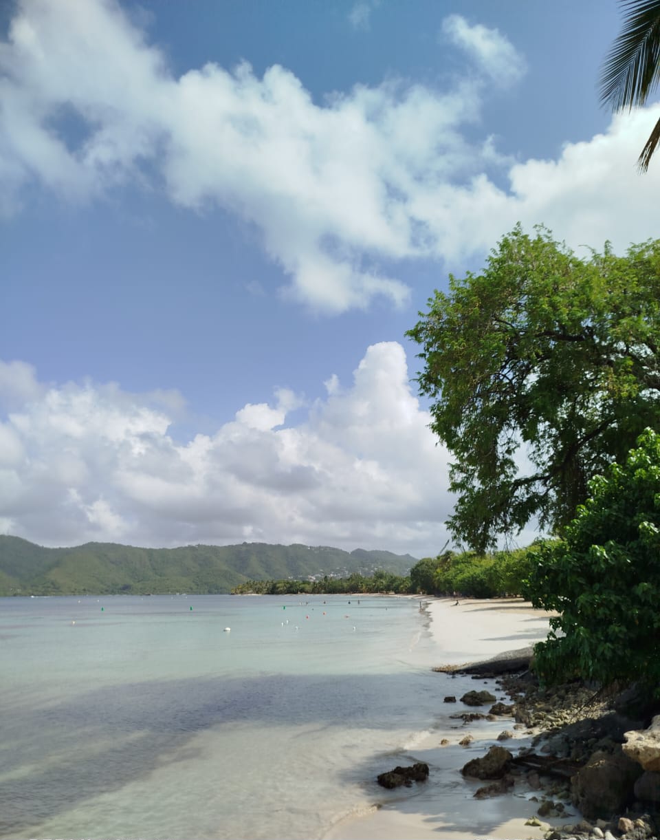 Карибы под парусами - Мартиника! (14/25)