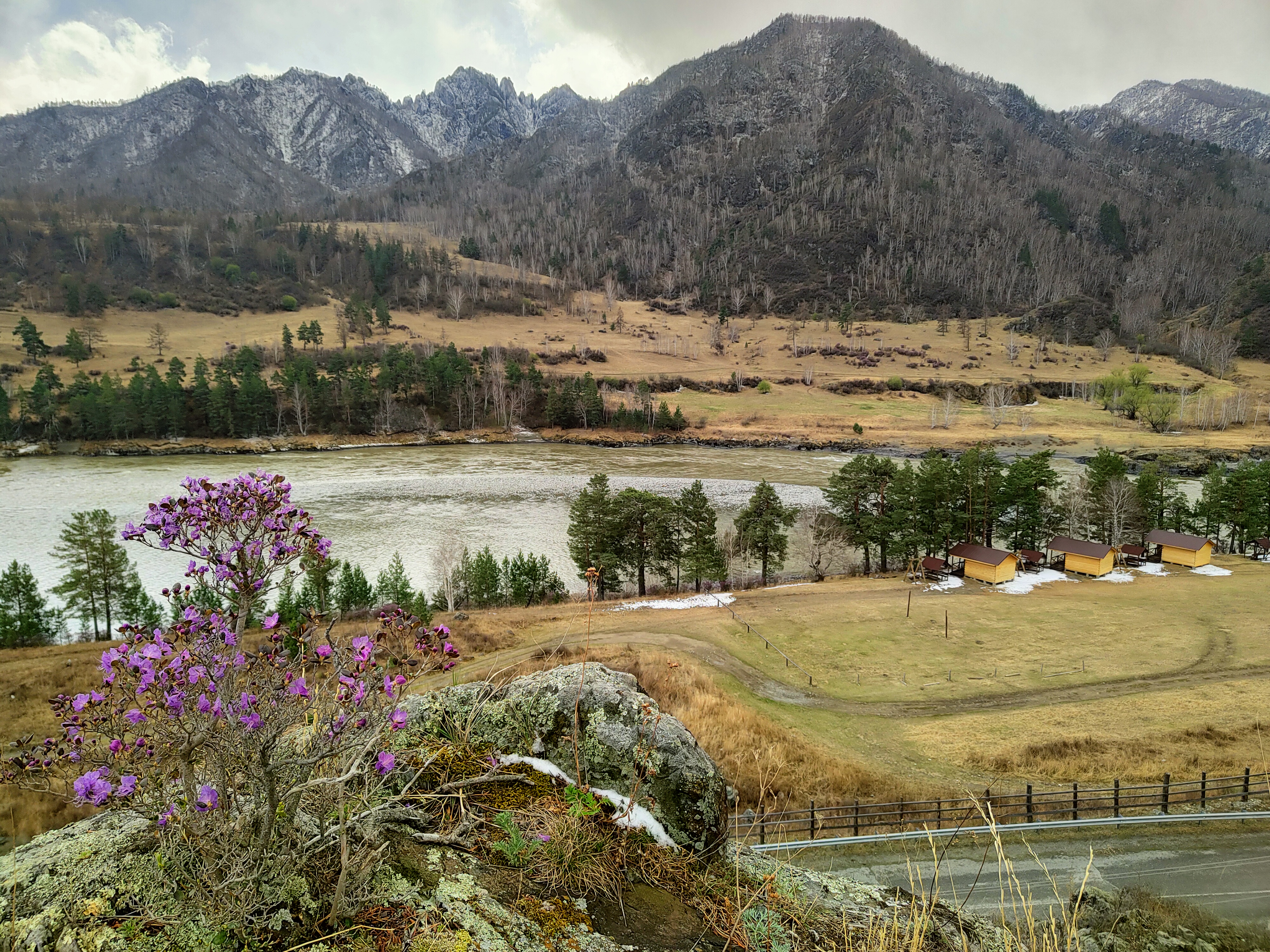 Сиреневые горы