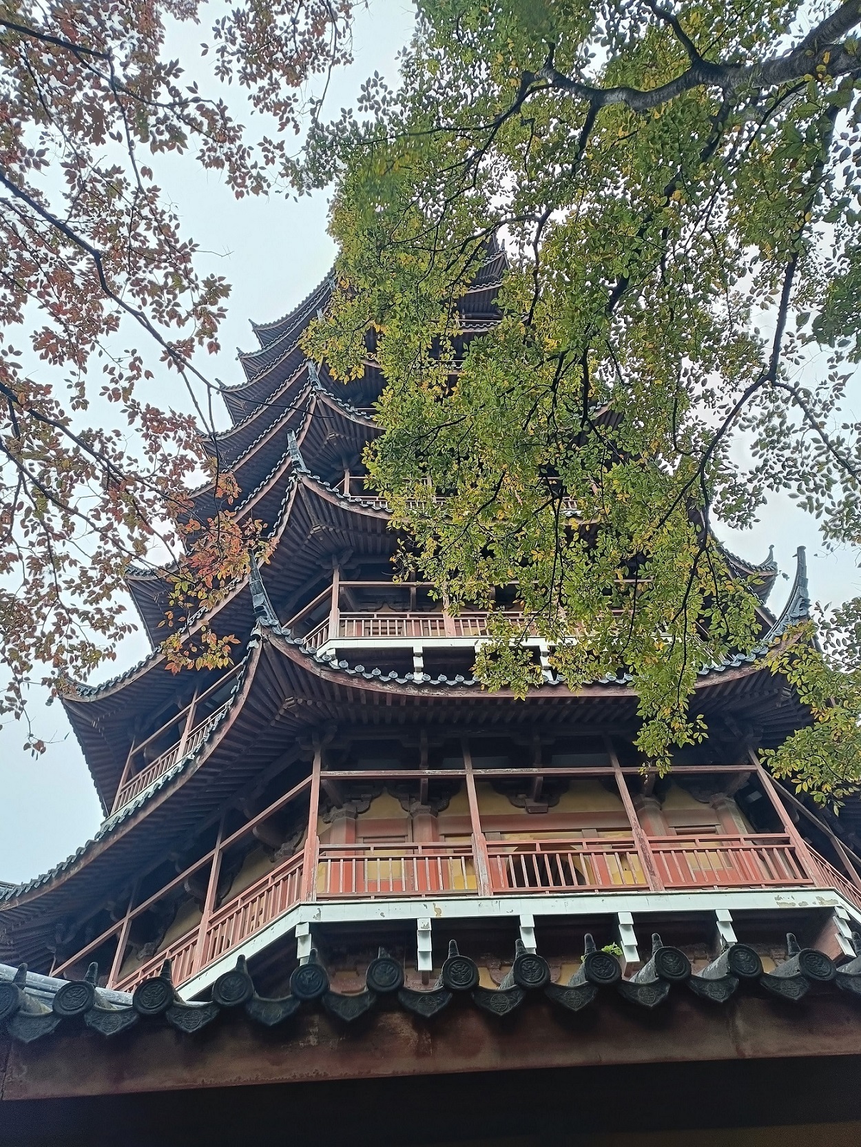 Китай: Экспедиция с историком к даосам: чай, каллиграфия, цигун и дзен (12/15)