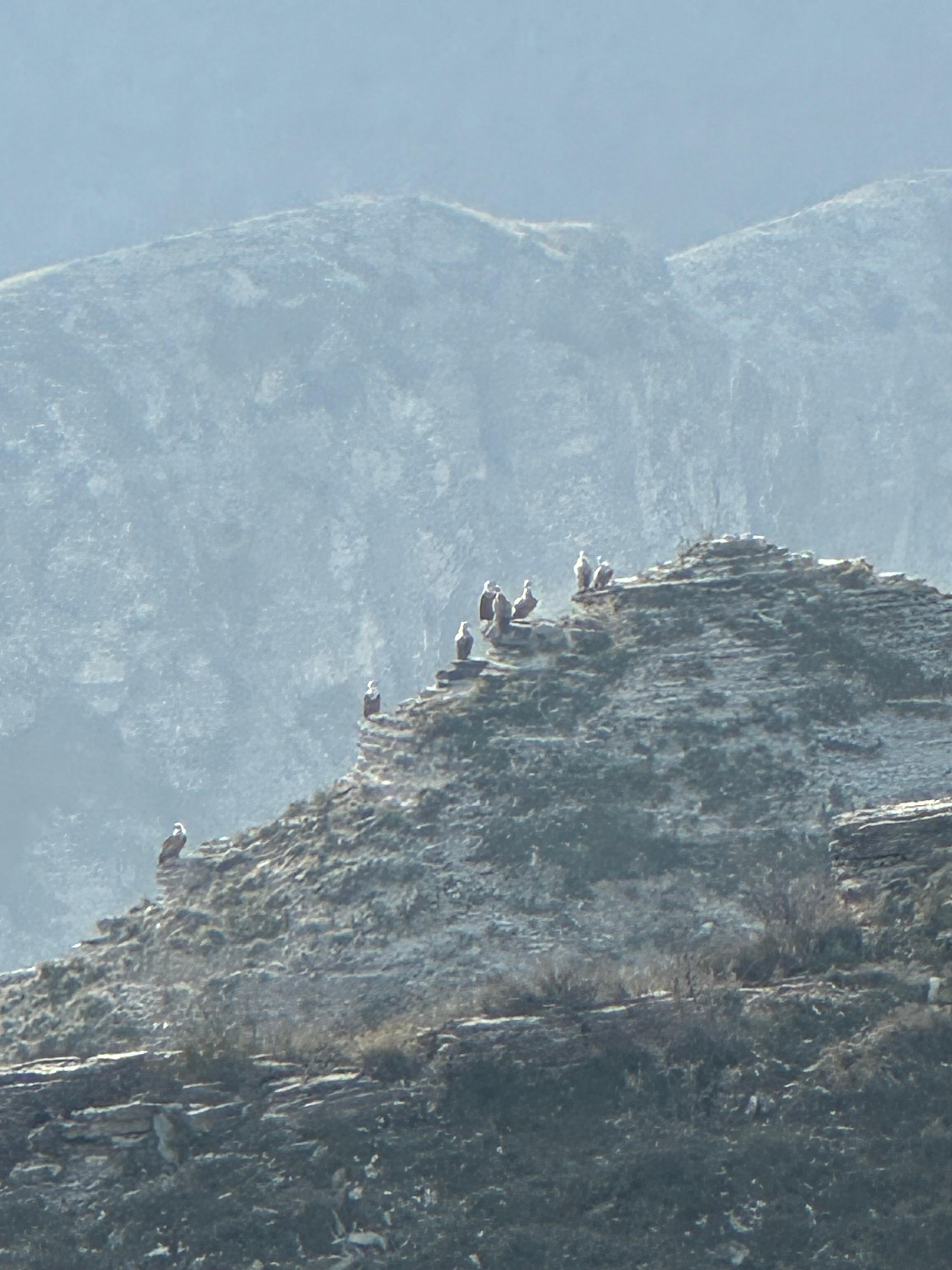 Два чуда Дагестана - Сулакский каньон и бархан (24/35)