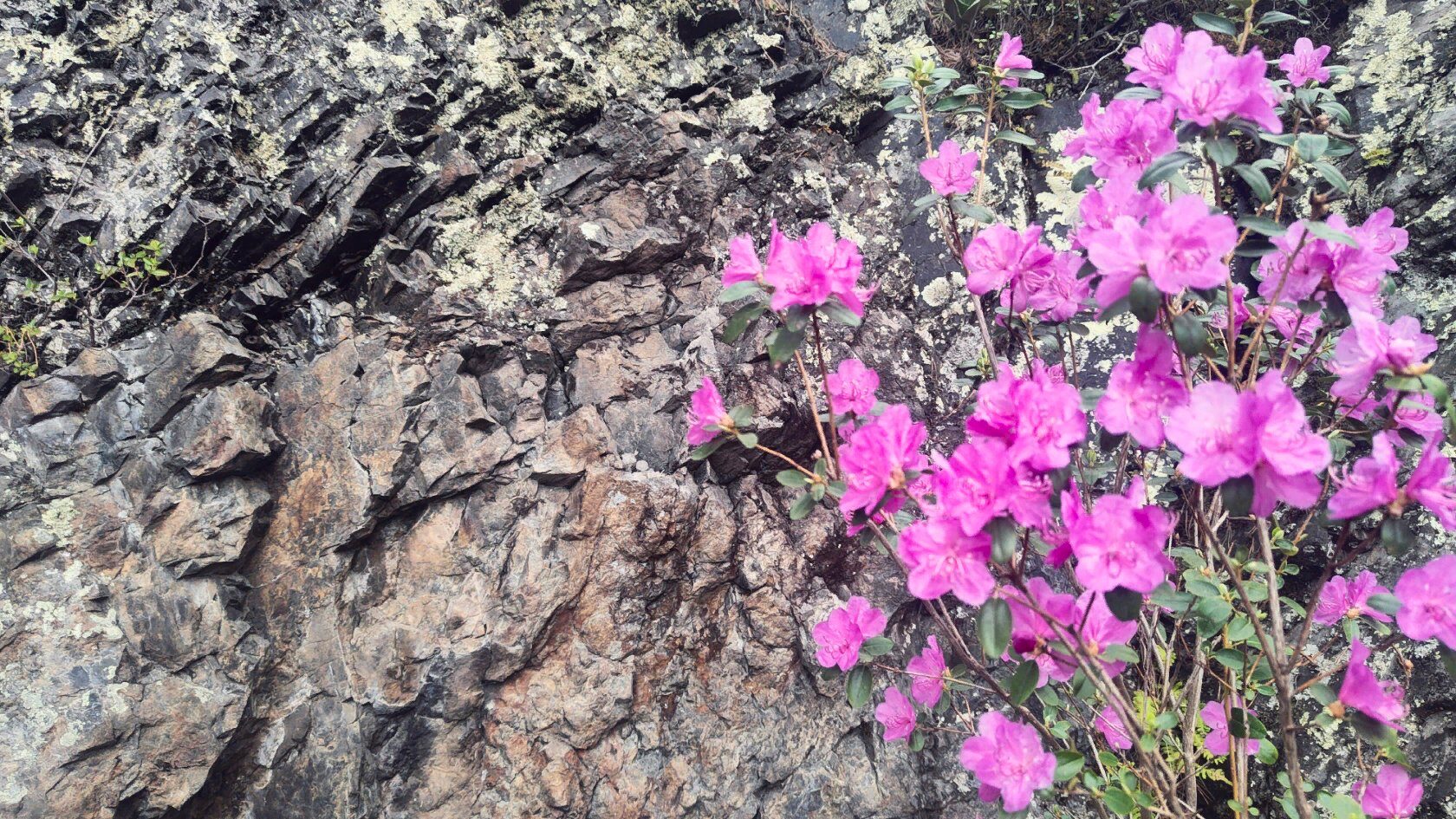 Ещё денёк в горах Алтая