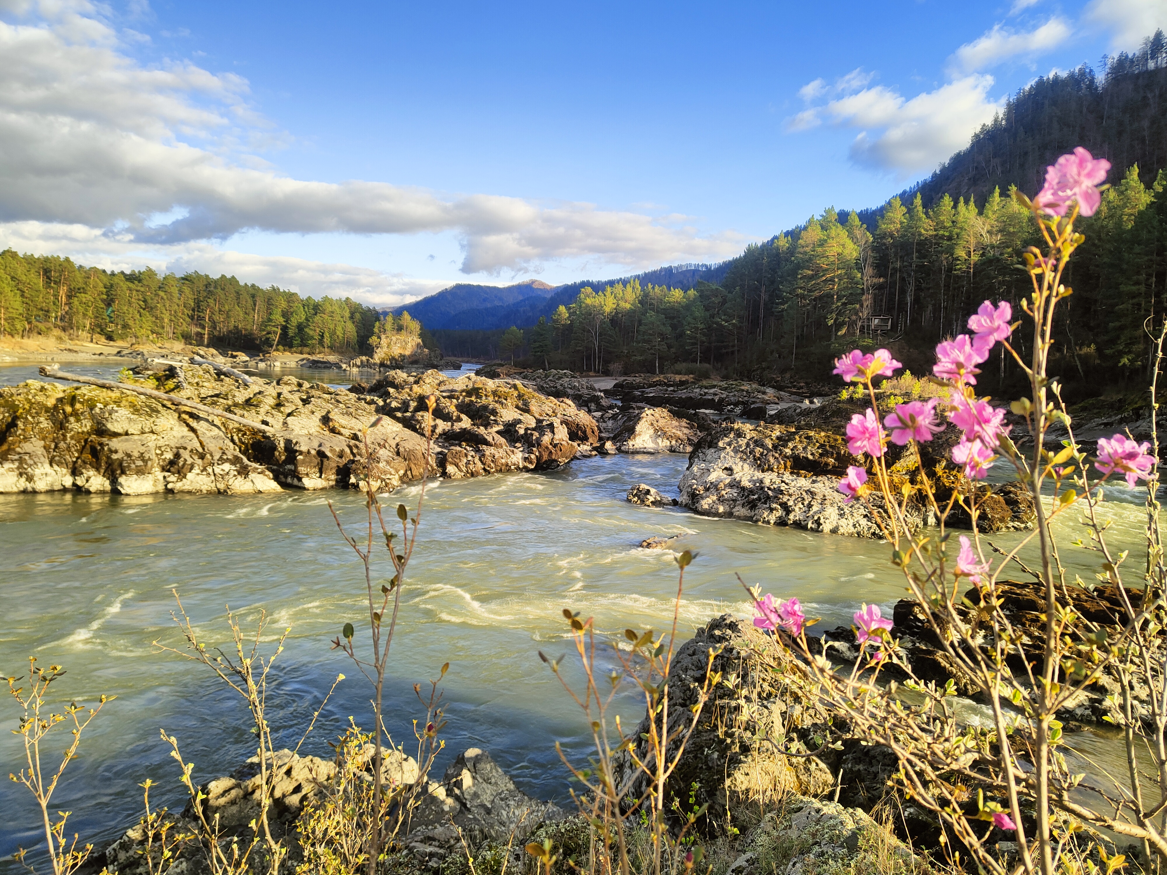 Весенние горы