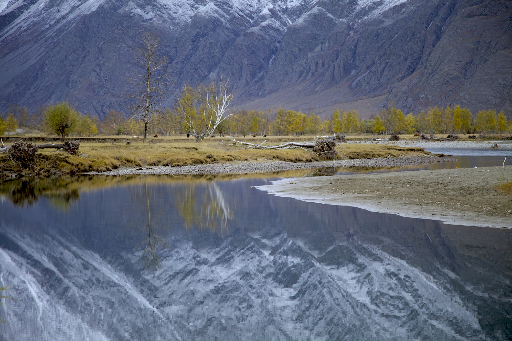 Путешествие к югу Телецкого через Каменные Грибы
