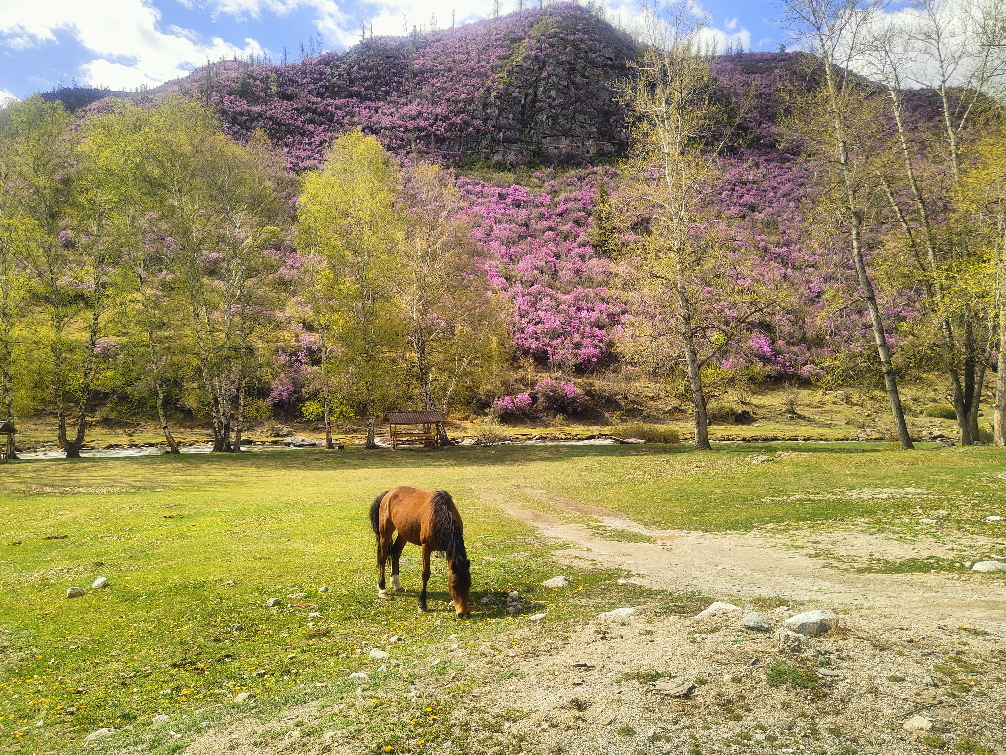 Продолжаем наслаждаться красотой