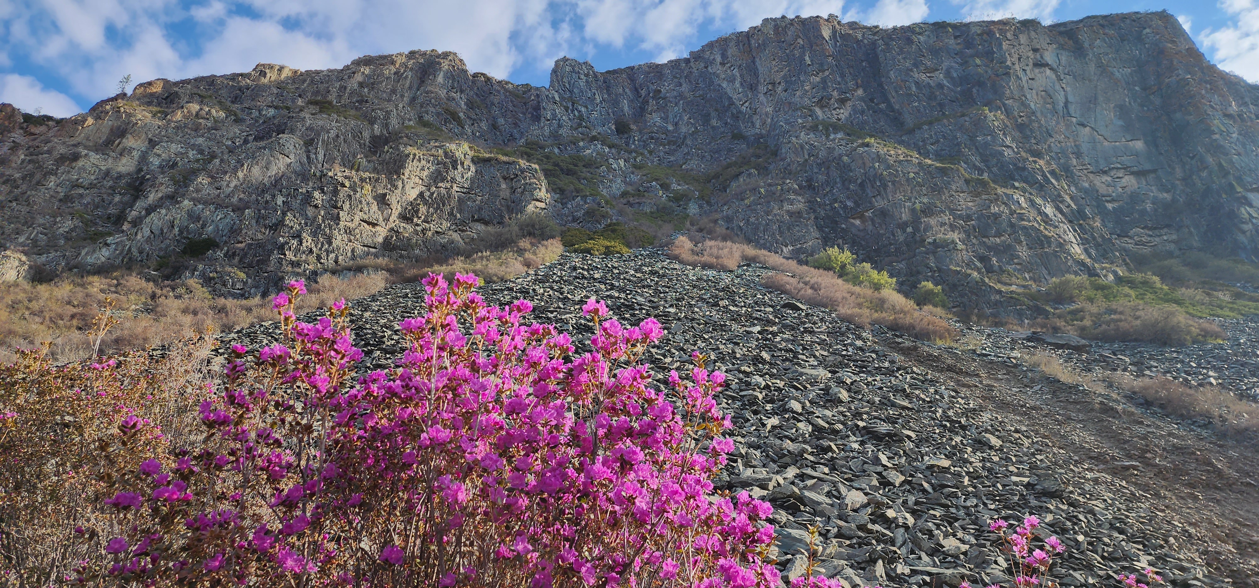 Весенние приключения на Алтае (5/23)
