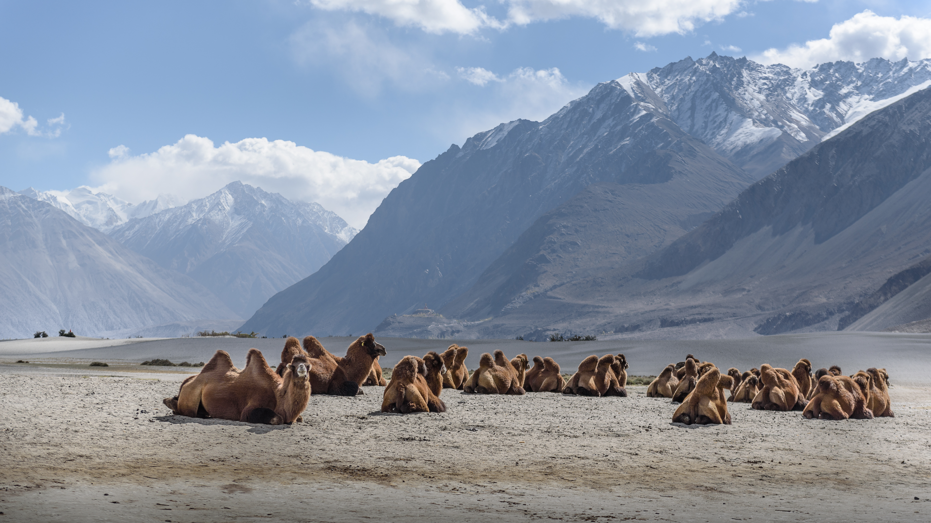 Малый Тибет (Индия)