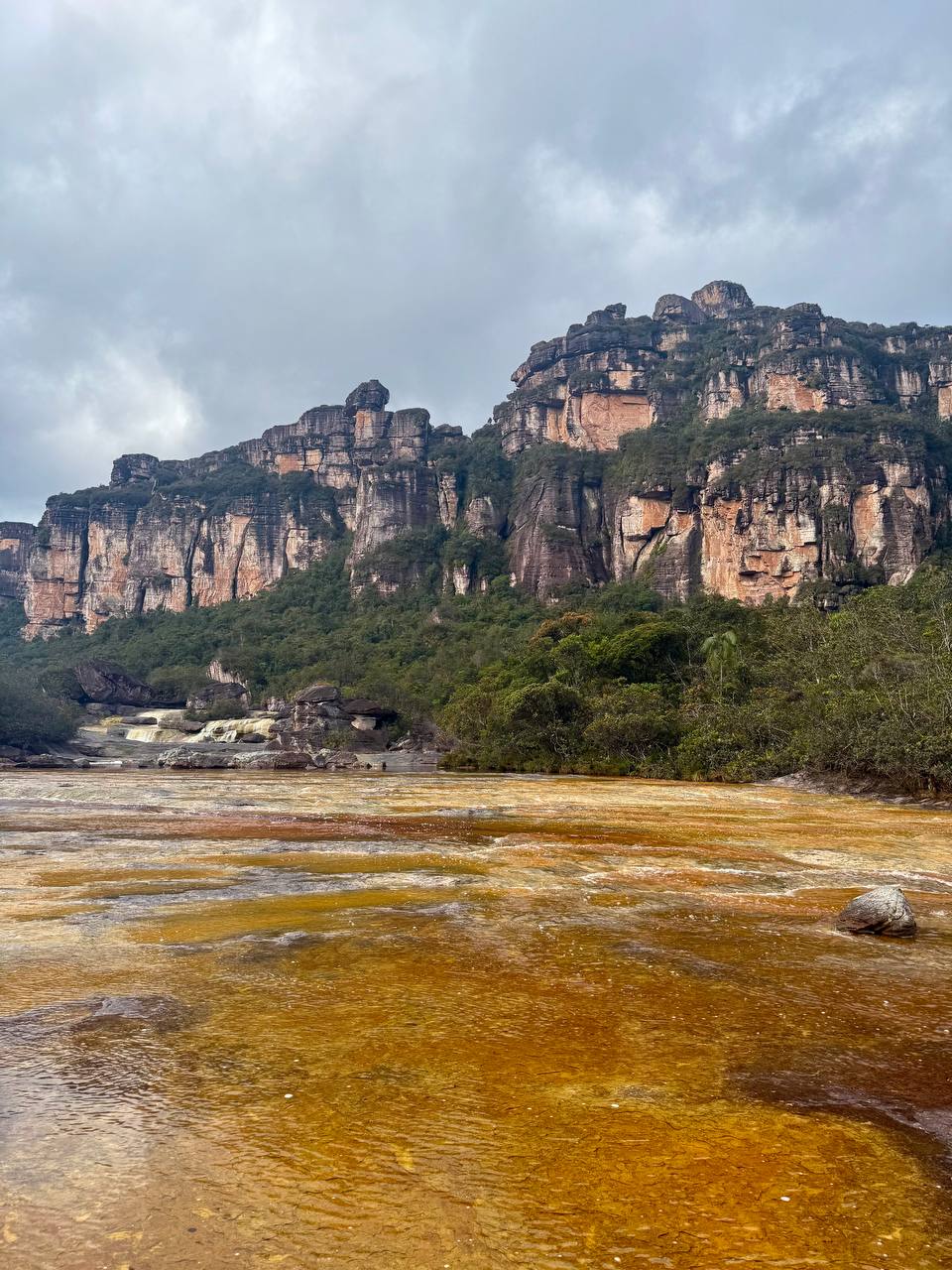 Самый высокий в мире водопад - Анхель (Национальный парк Канайма) индивидуально (13/30)