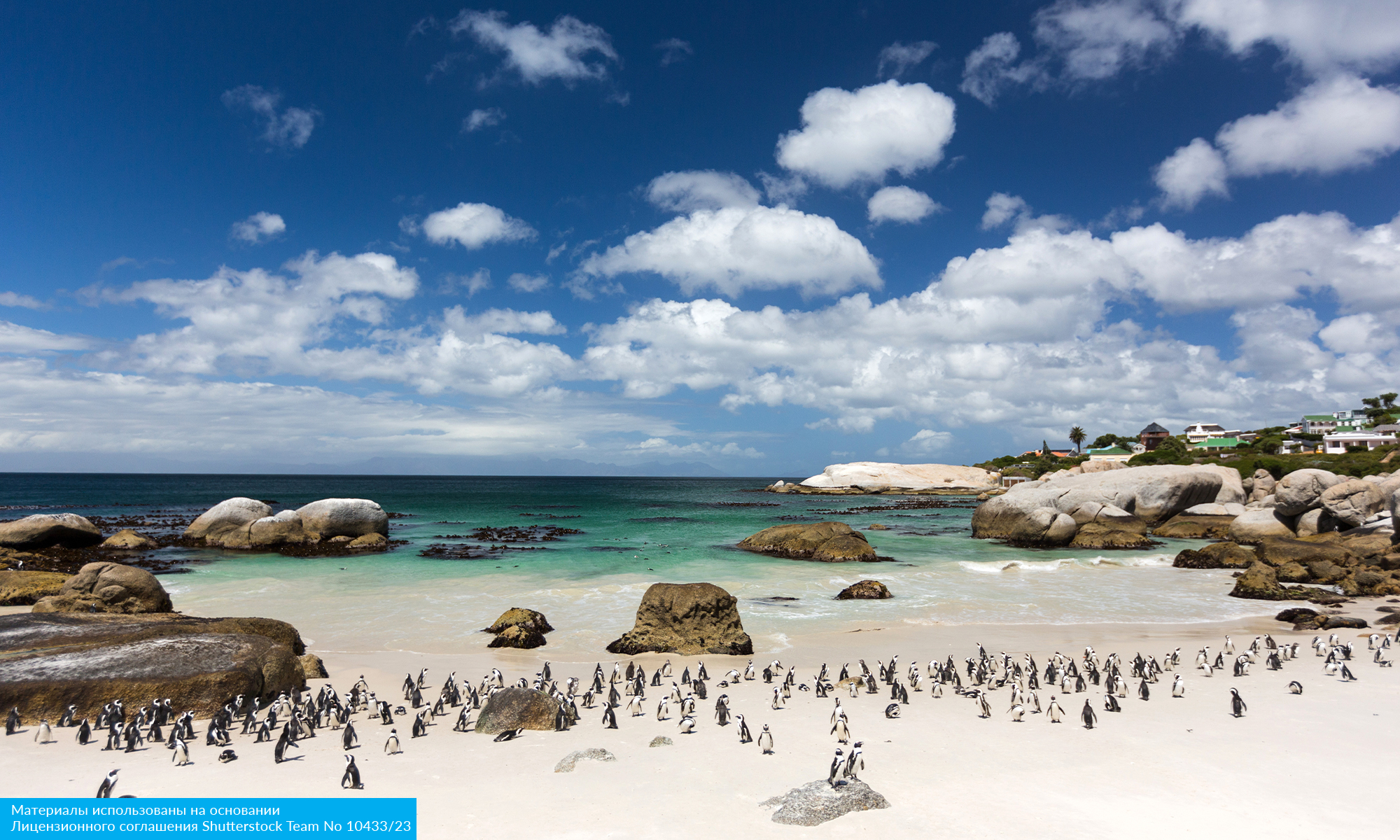 Юар: Кейптаун, 2 океана, сафари, Найсна и миграция китов (11/15)