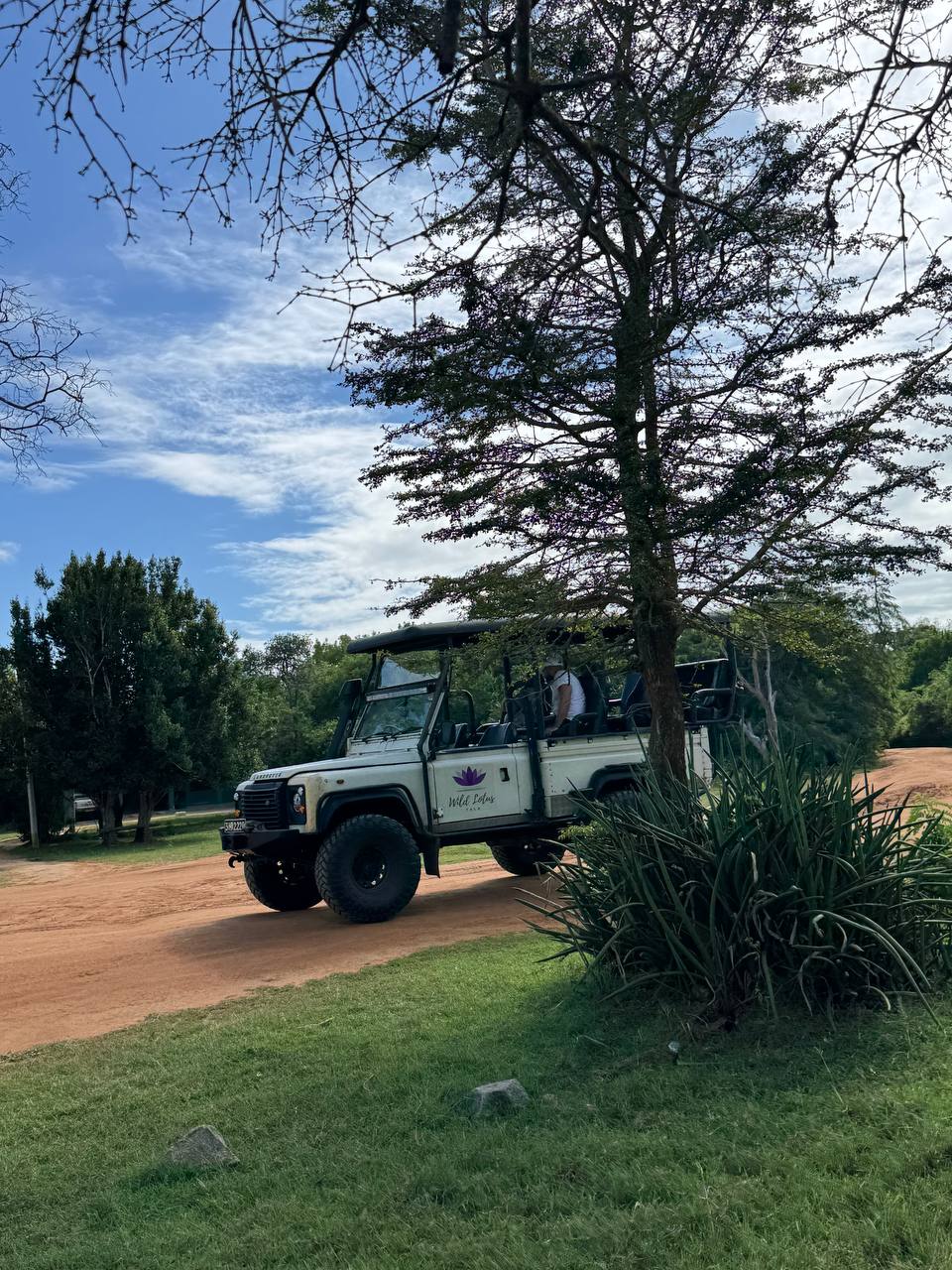 Элла и сафари в парке Яла (19/20)