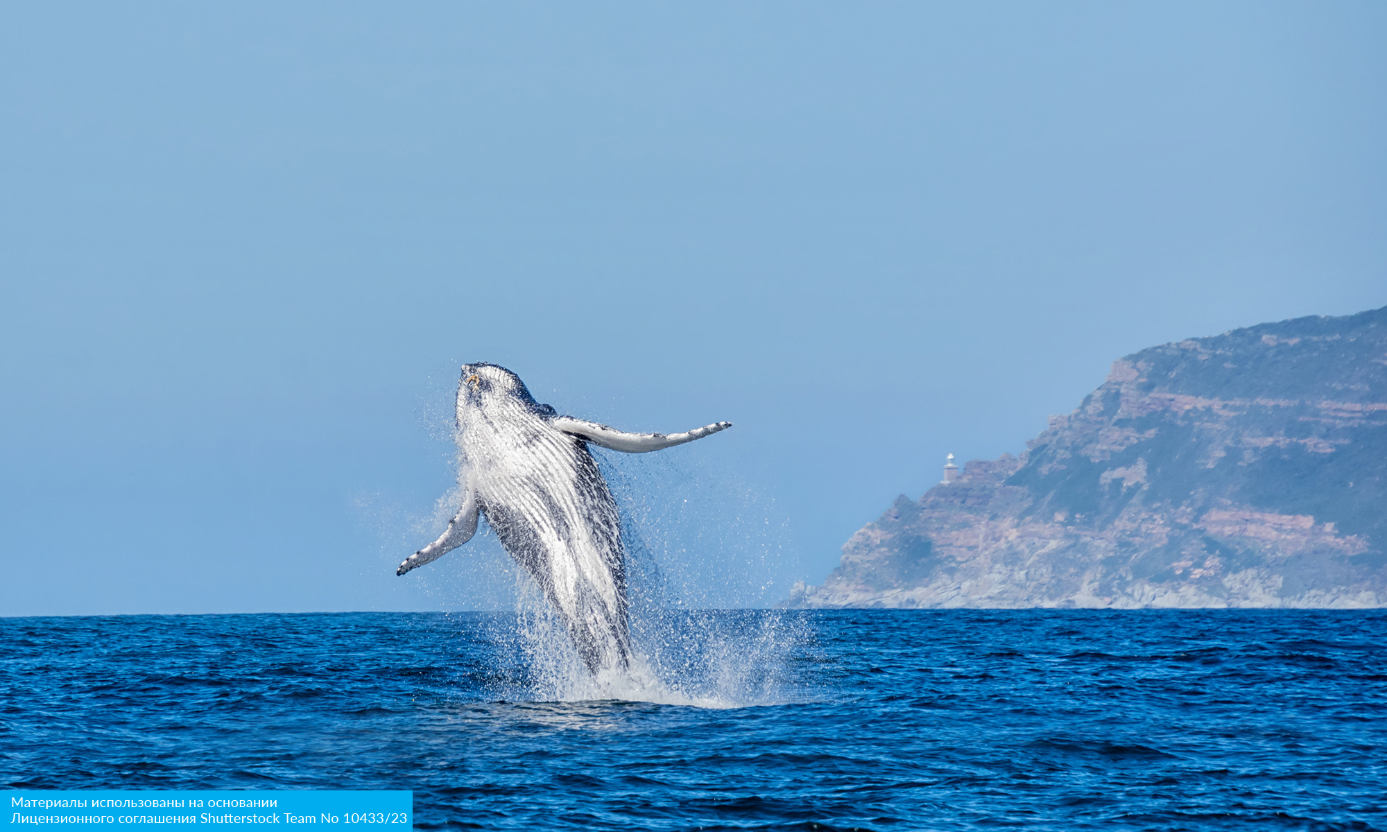 Юар: Кейптаун, Мыс Игольный, сафари, Канго и миграция китов (13/14)