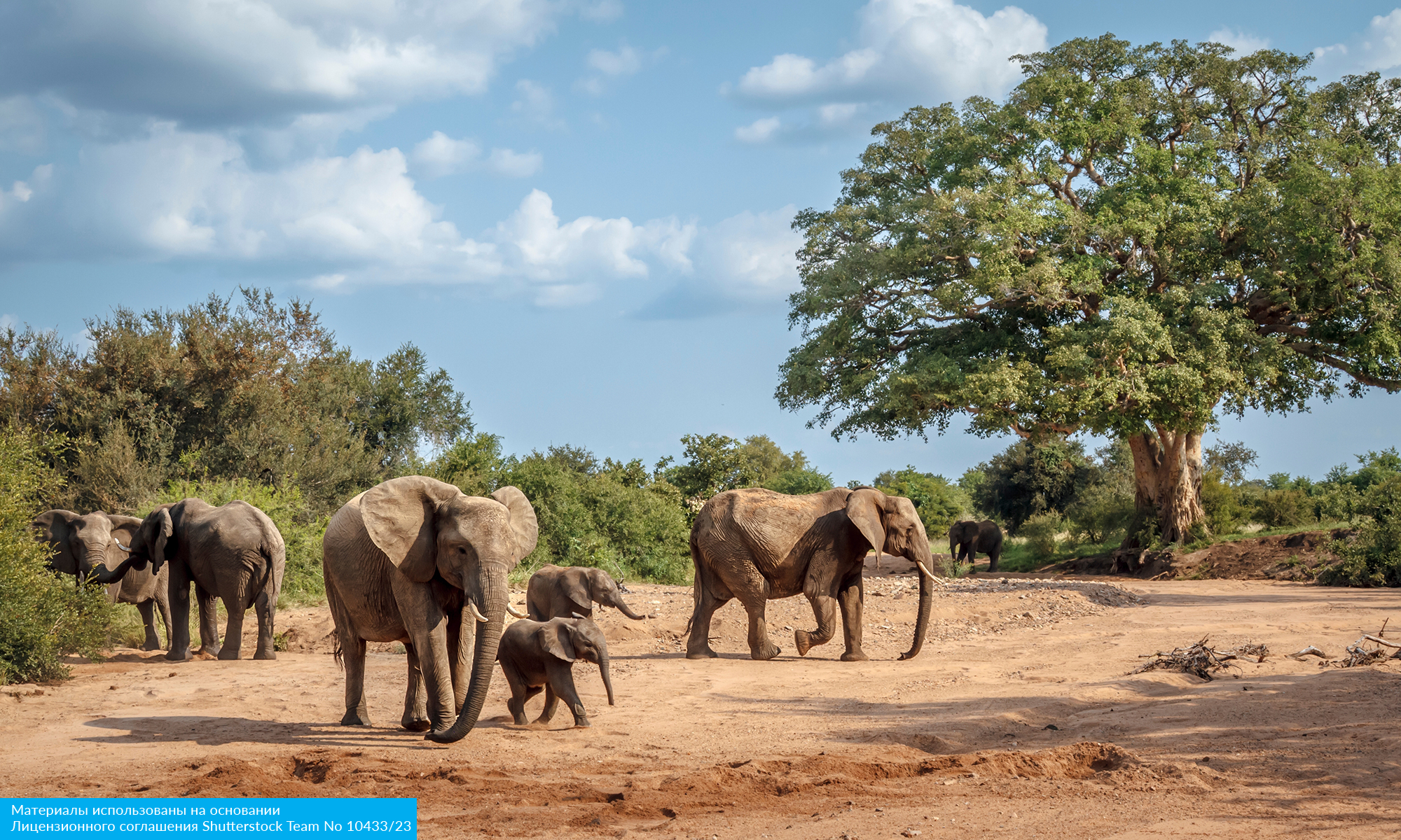 Юар: Кейптаун, 2 океана, сафари, Найсна и миграция китов