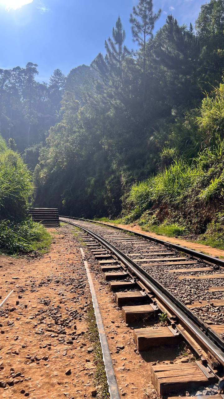 Элла и сафари в парке Яла (3/20)