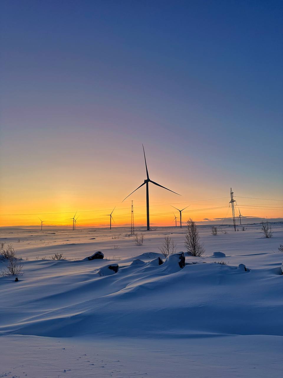 Поймай свое сияние: Териберка, киты и настоящий север (комфортные условия проживания) (17/34)