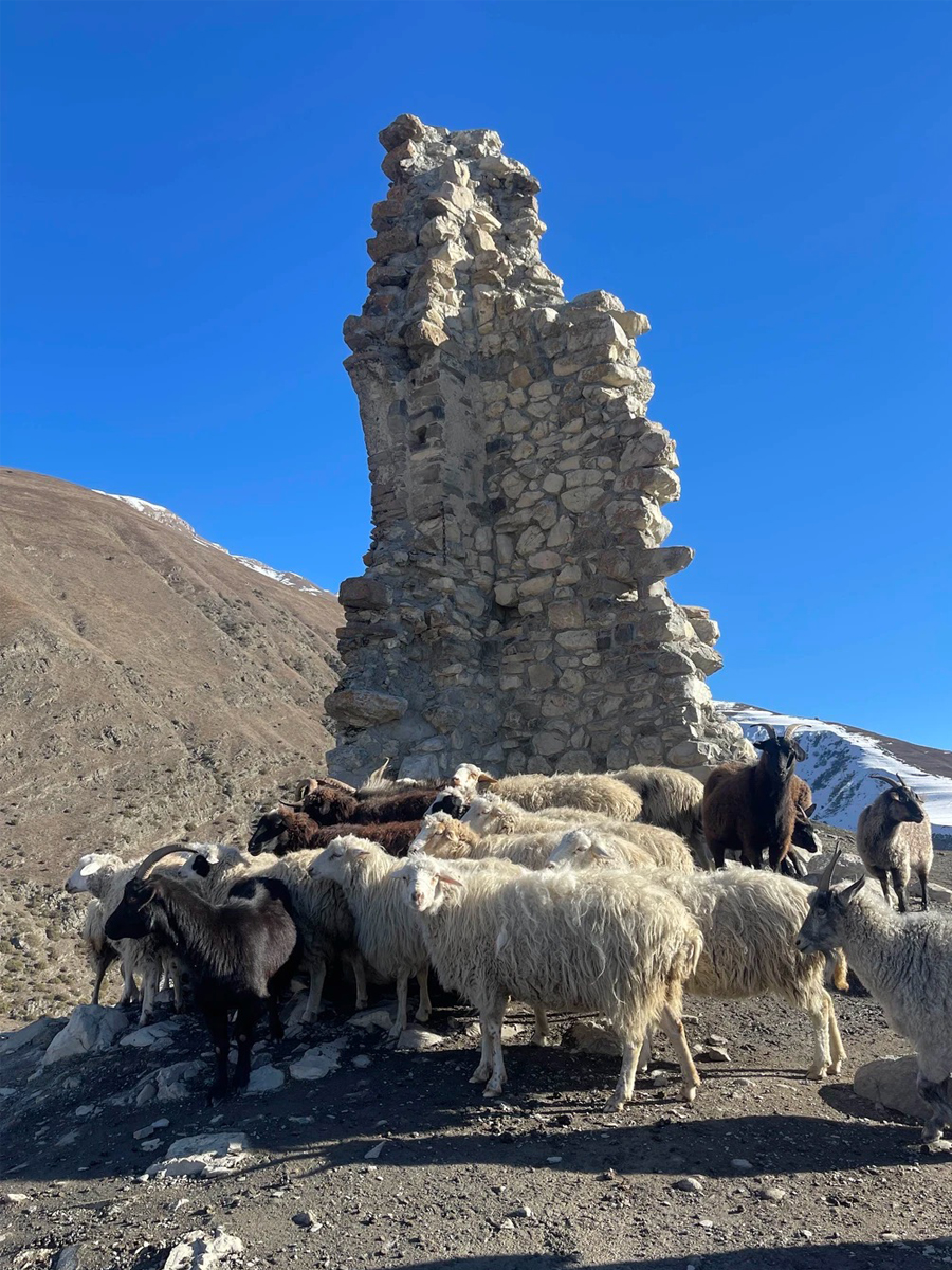Мама, Я В Осетии. 3 Дня. Из Владикавказа! Топовый Тур (17/53)