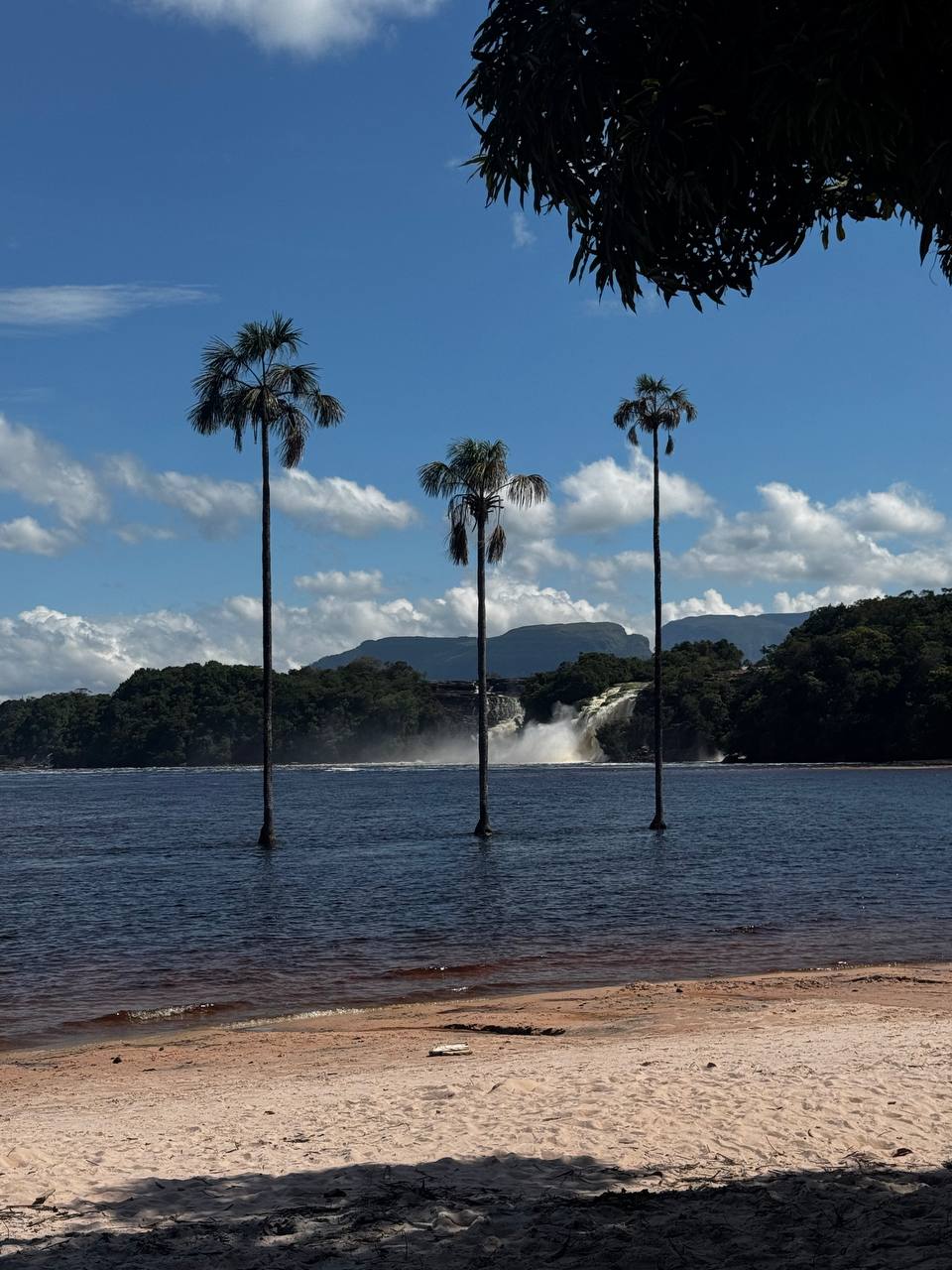 Самый высокий в мире водопад - Анхель (Национальный парк Канайма) индивидуально (12/30)