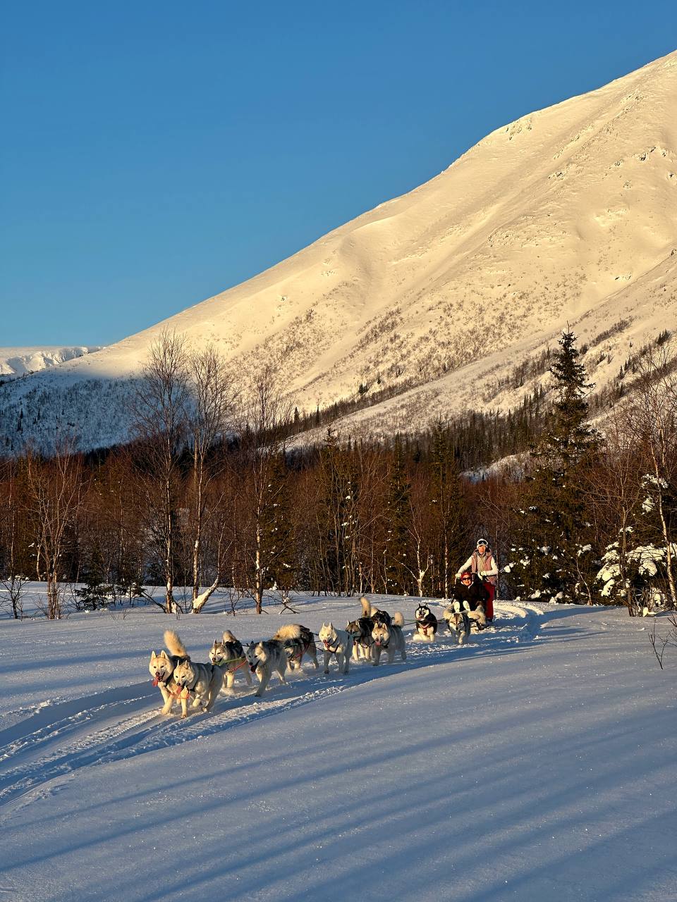 Поймай свое сияние: Териберка, киты и настоящий север (комфортные условия проживания) (7/34)