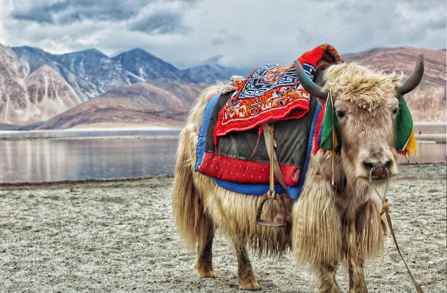 Малый Тибет (Индия) (2/7)