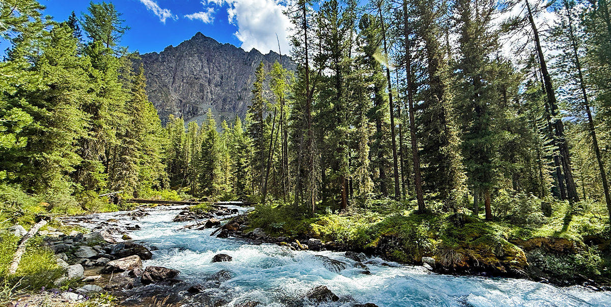 Тур на Шавлинские озёра налегке (с конным сопровождением) (88/128)
