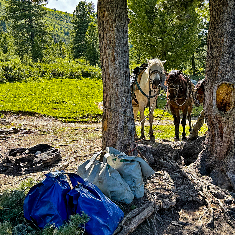 Тур на Шавлинские озёра налегке (с конным сопровождением) (46/128)