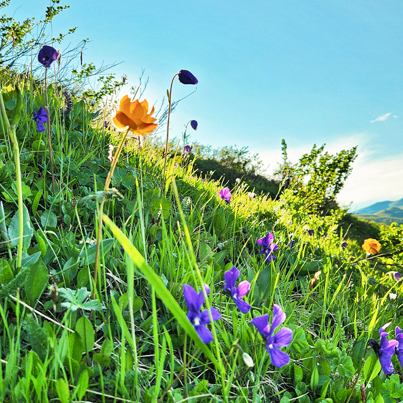 Тур на Шавлинские озёра налегке (с конным сопровождением) (3/128)