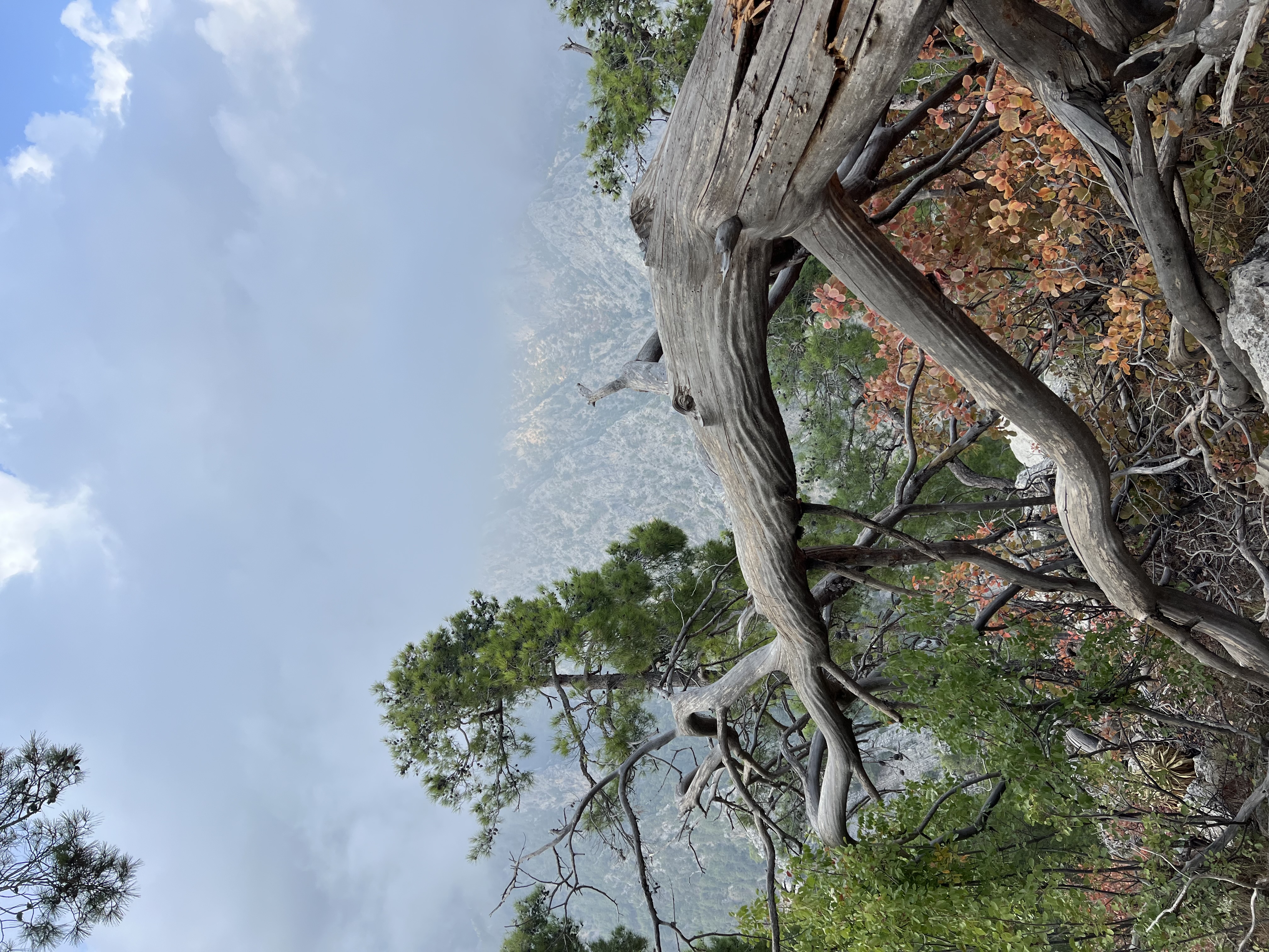 Ликийская тропа с комфортом (Восточная часть) (23/55)