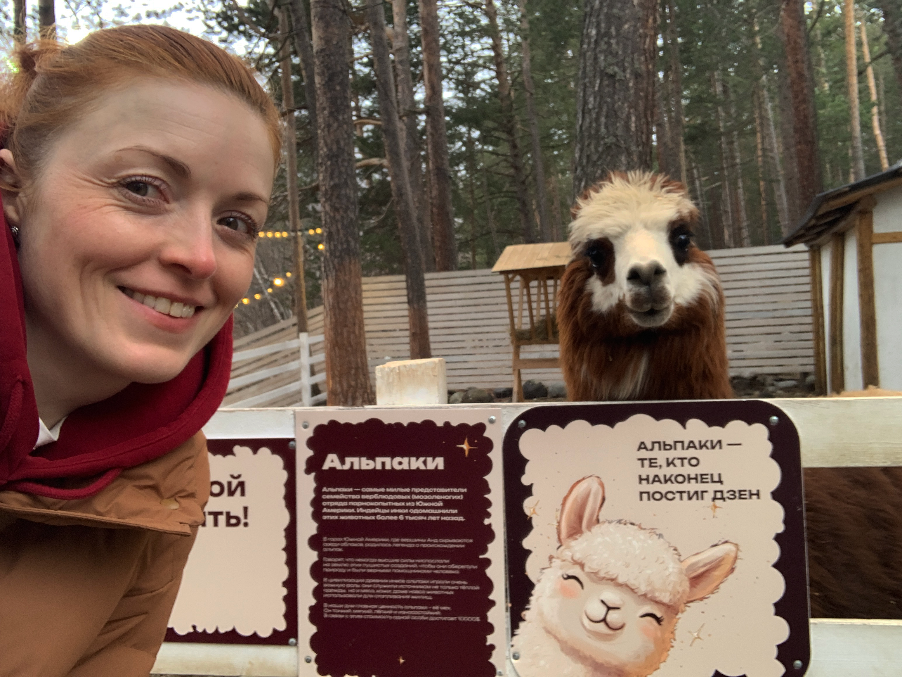 Горнолыжный отдых 5 дней на Эльбрусе и Чегете - Лучшая цена сезона! (18/49)