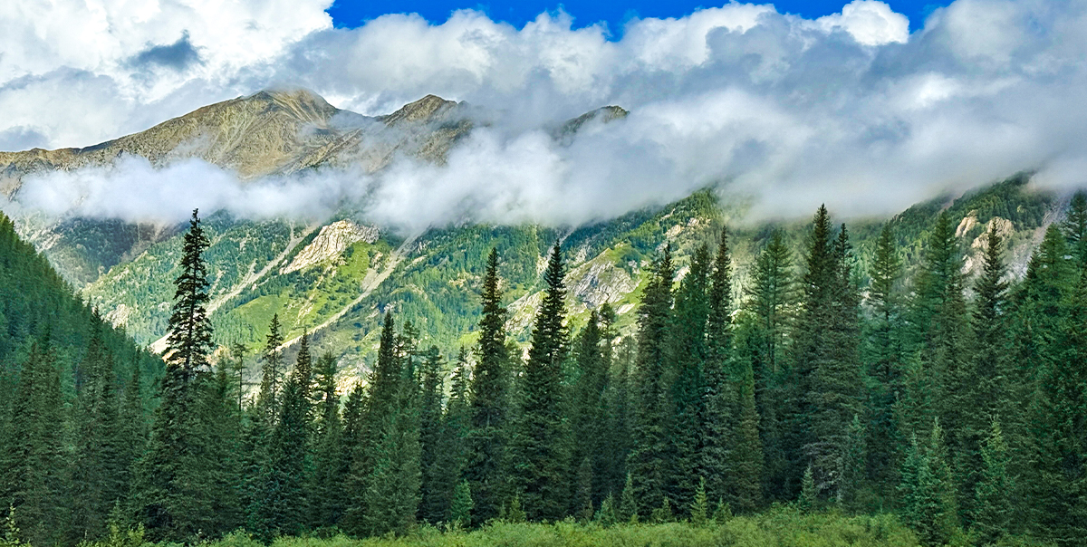 Тур на Шавлинские озёра налегке (с конным сопровождением) (38/128)