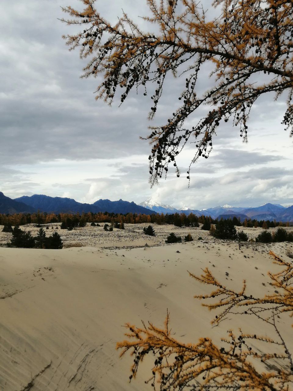 Легенды Бама 2.0 экспедиционный тур на Байкал (4/39)