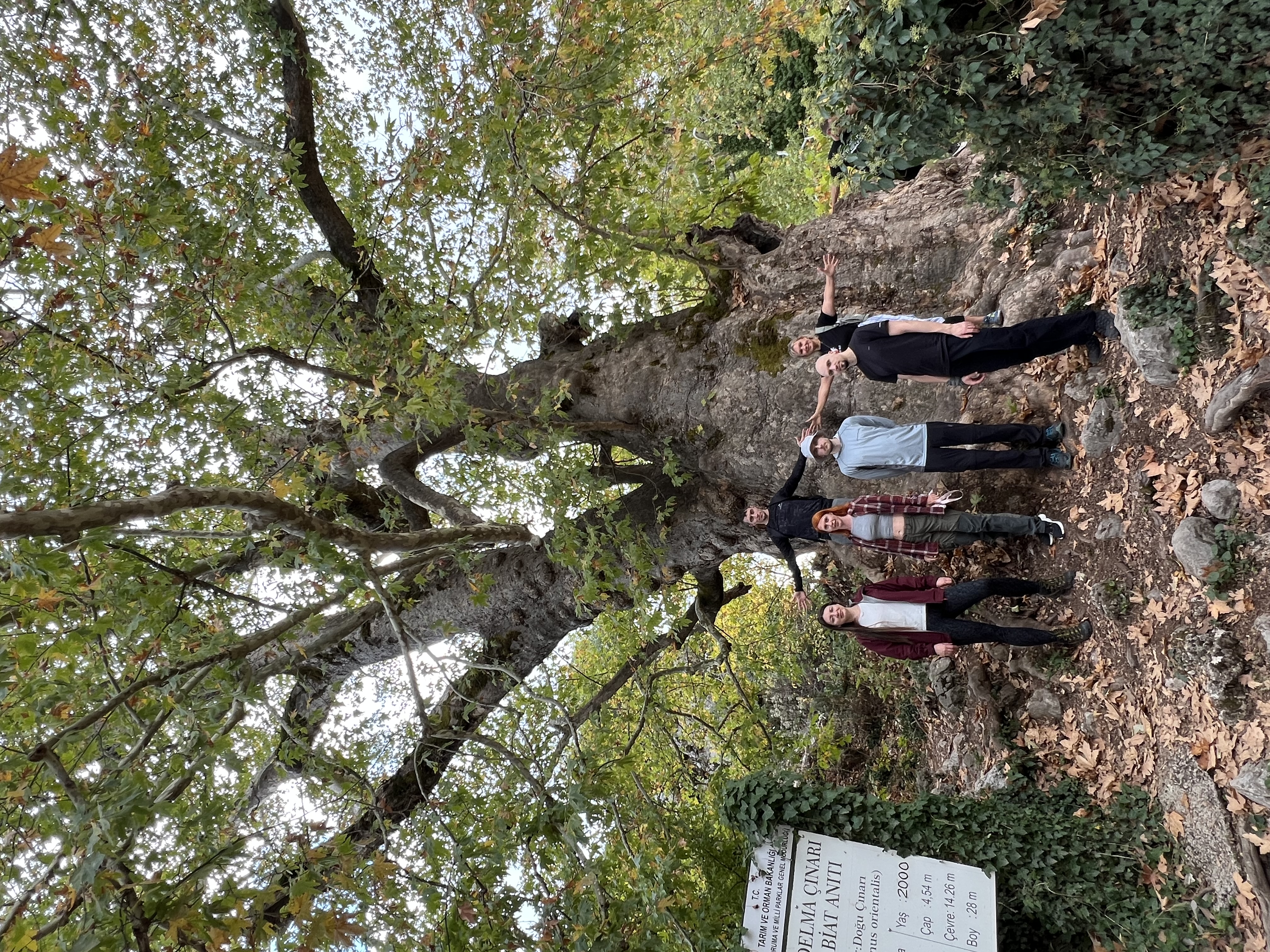 Ликийская тропа с комфортом (Восточная часть) (29/55)