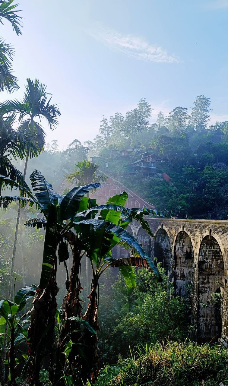 Индивидуальная экскурсия Элла и водопад Диялума на Шри-Ланке (10/15)