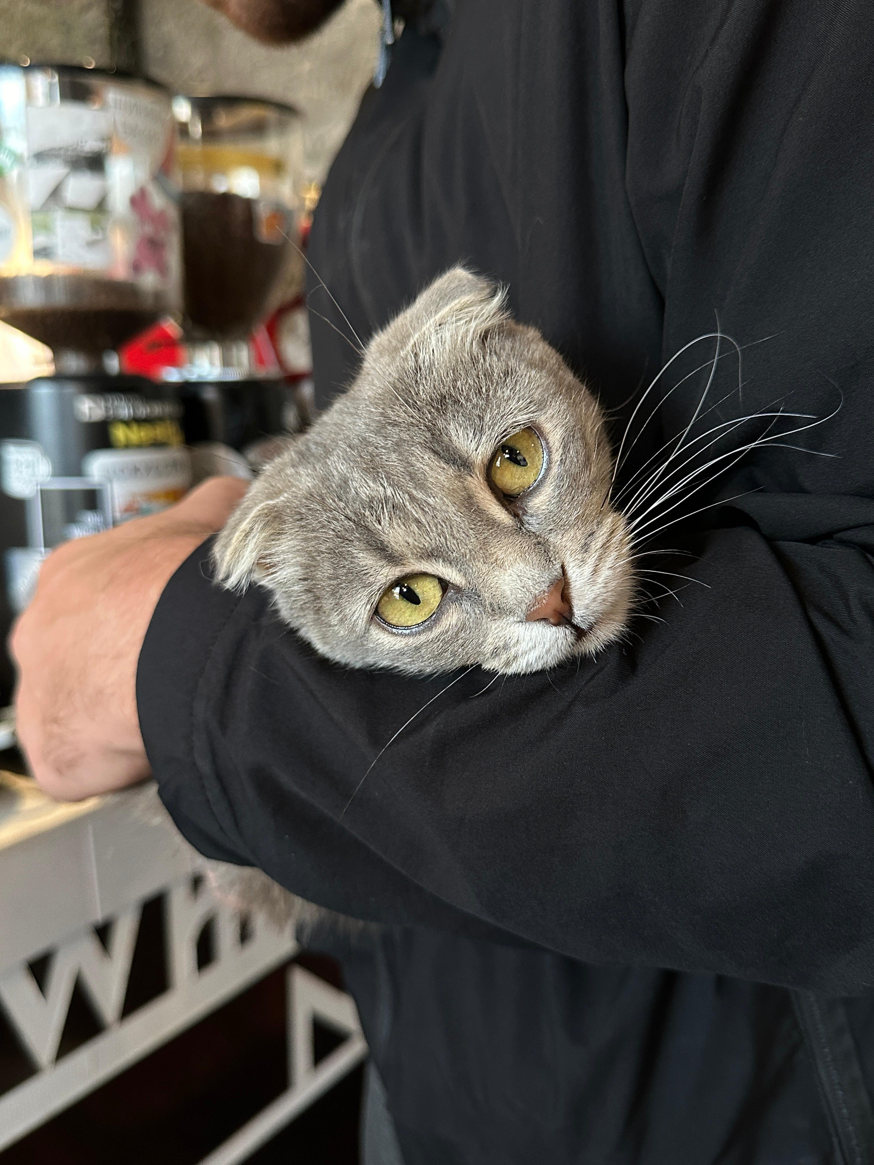 Открывая Дагестан: за три дня к сердцу Кавказа (Все Включено) (92/107)