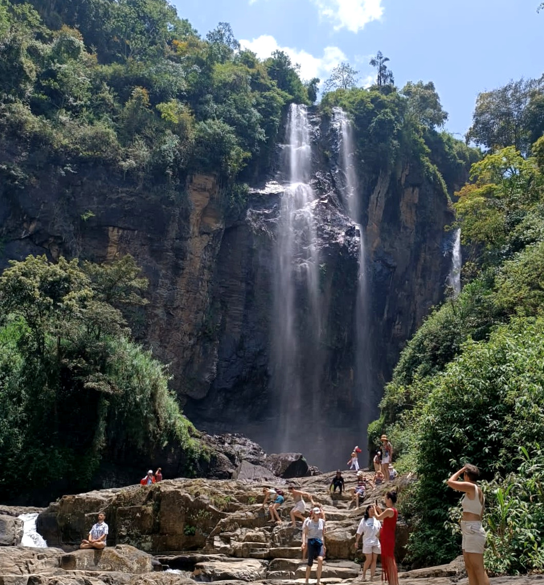 Йога-тур на Шри-Ланку 12 дней (15/30)