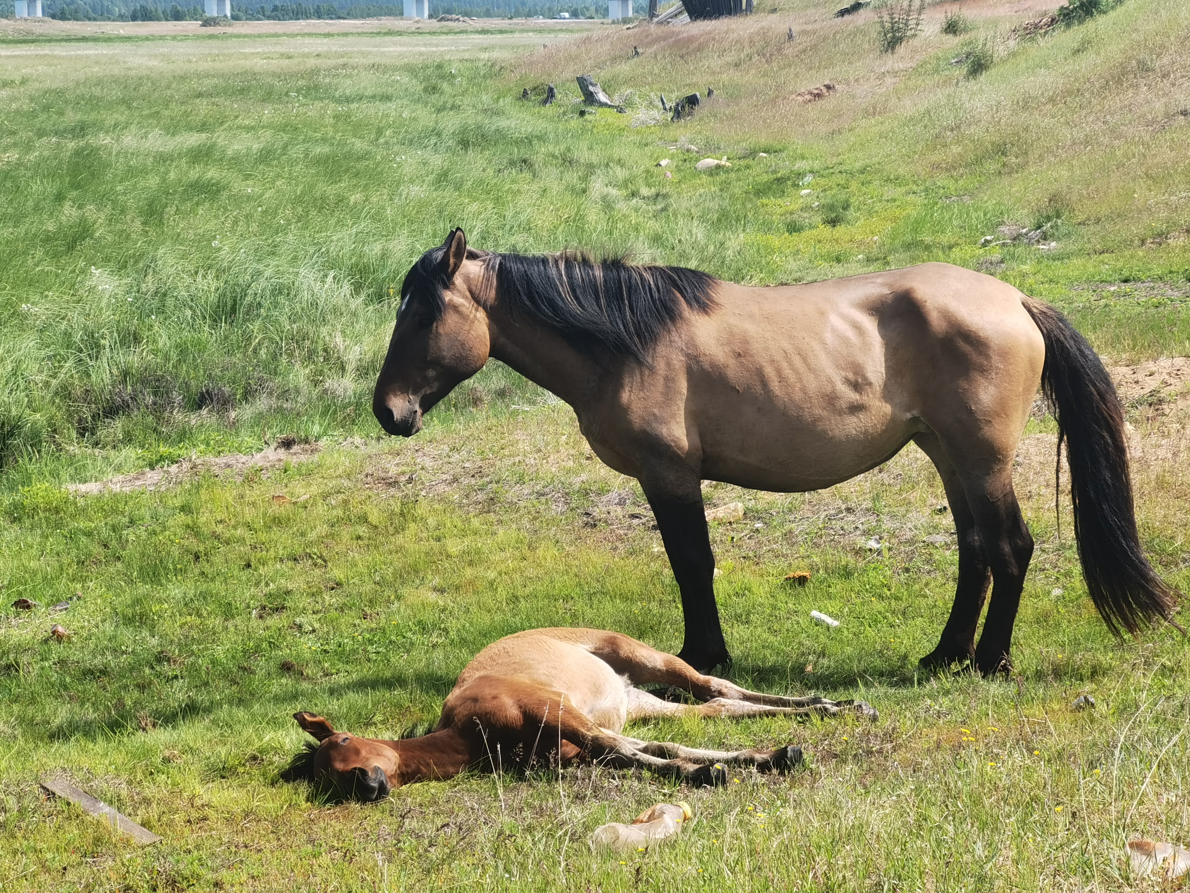 Паломнический тур: 3 драгоценности Бурятии (12/31)