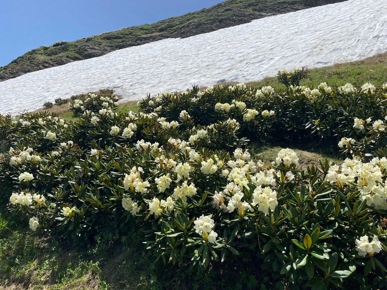 2 насыщенных незабываемых дня в Архызе (9/25)