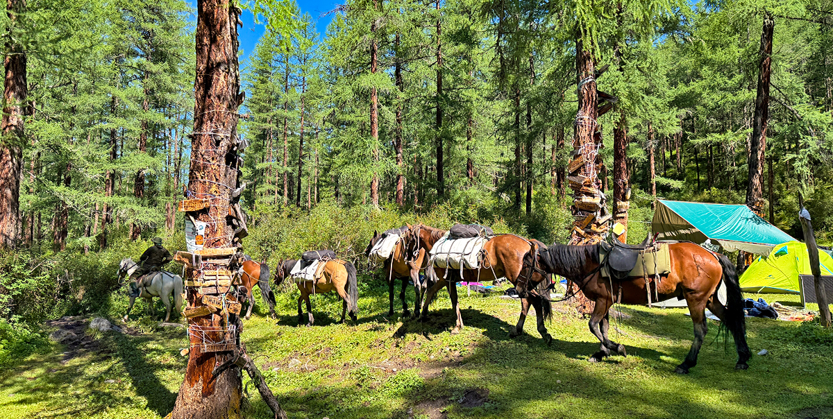 Тур на Шавлинские озёра налегке (с конным сопровождением) (91/128)